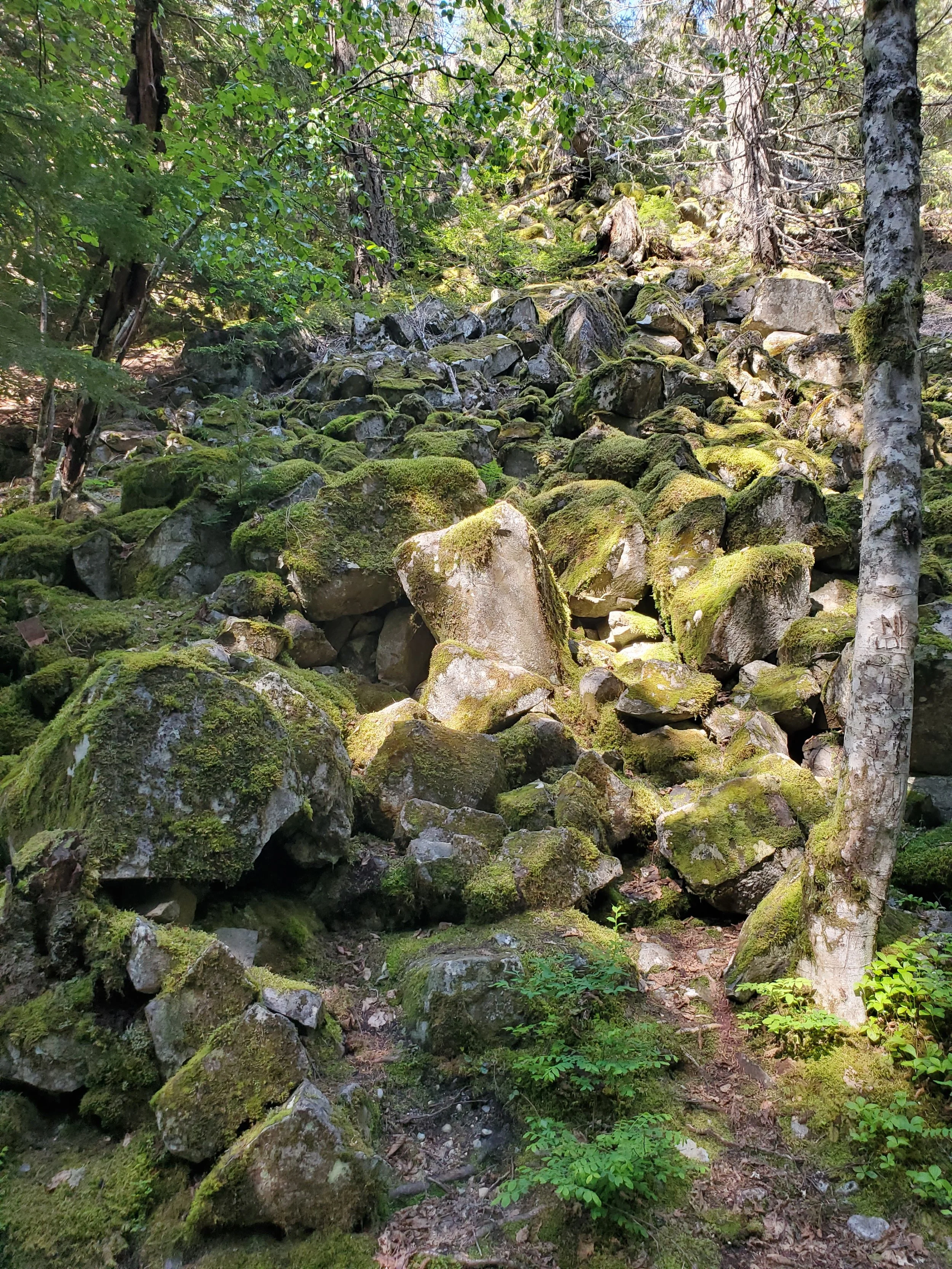 20250601_161915.jpg