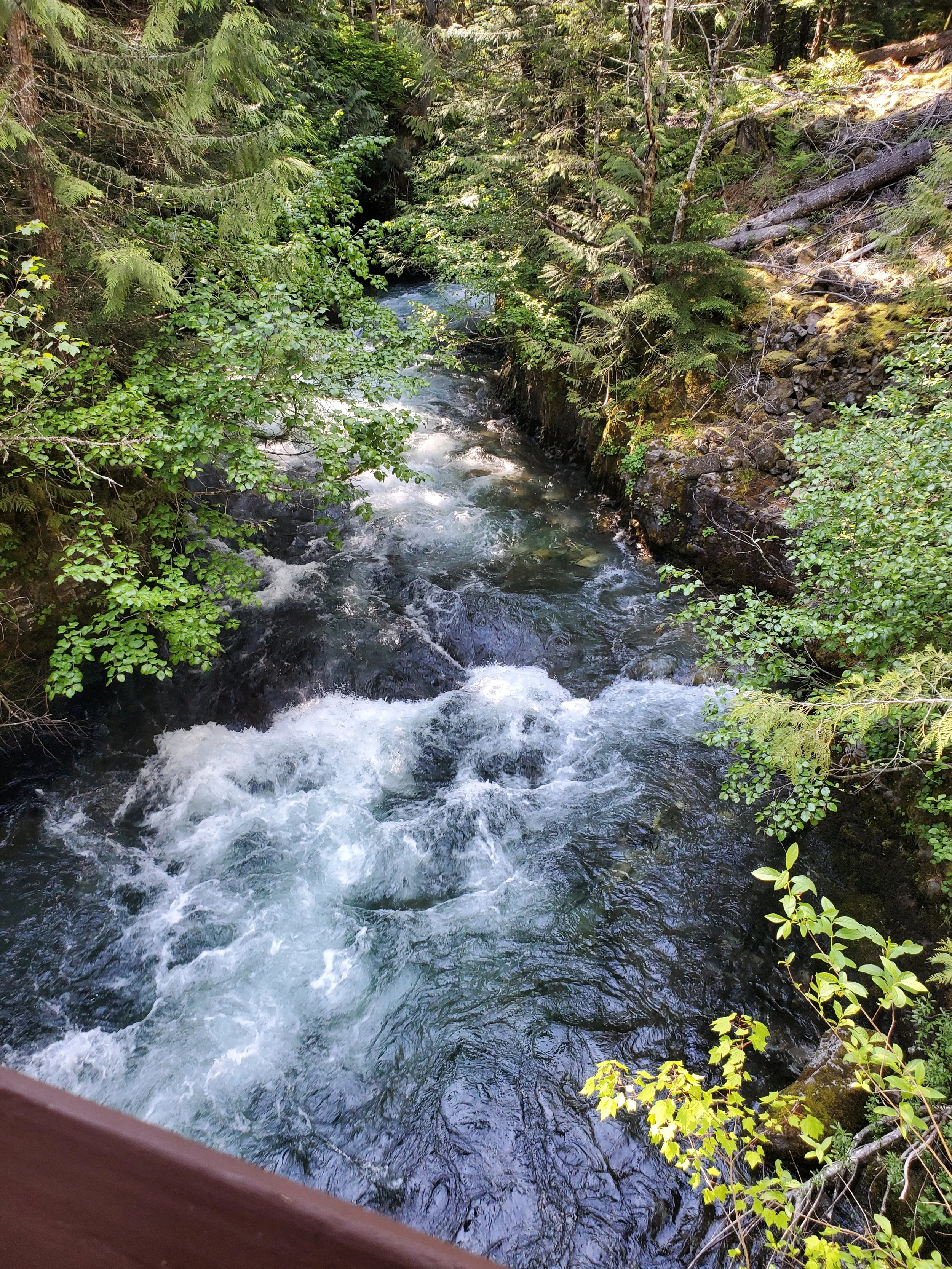 20250601_161812.jpg