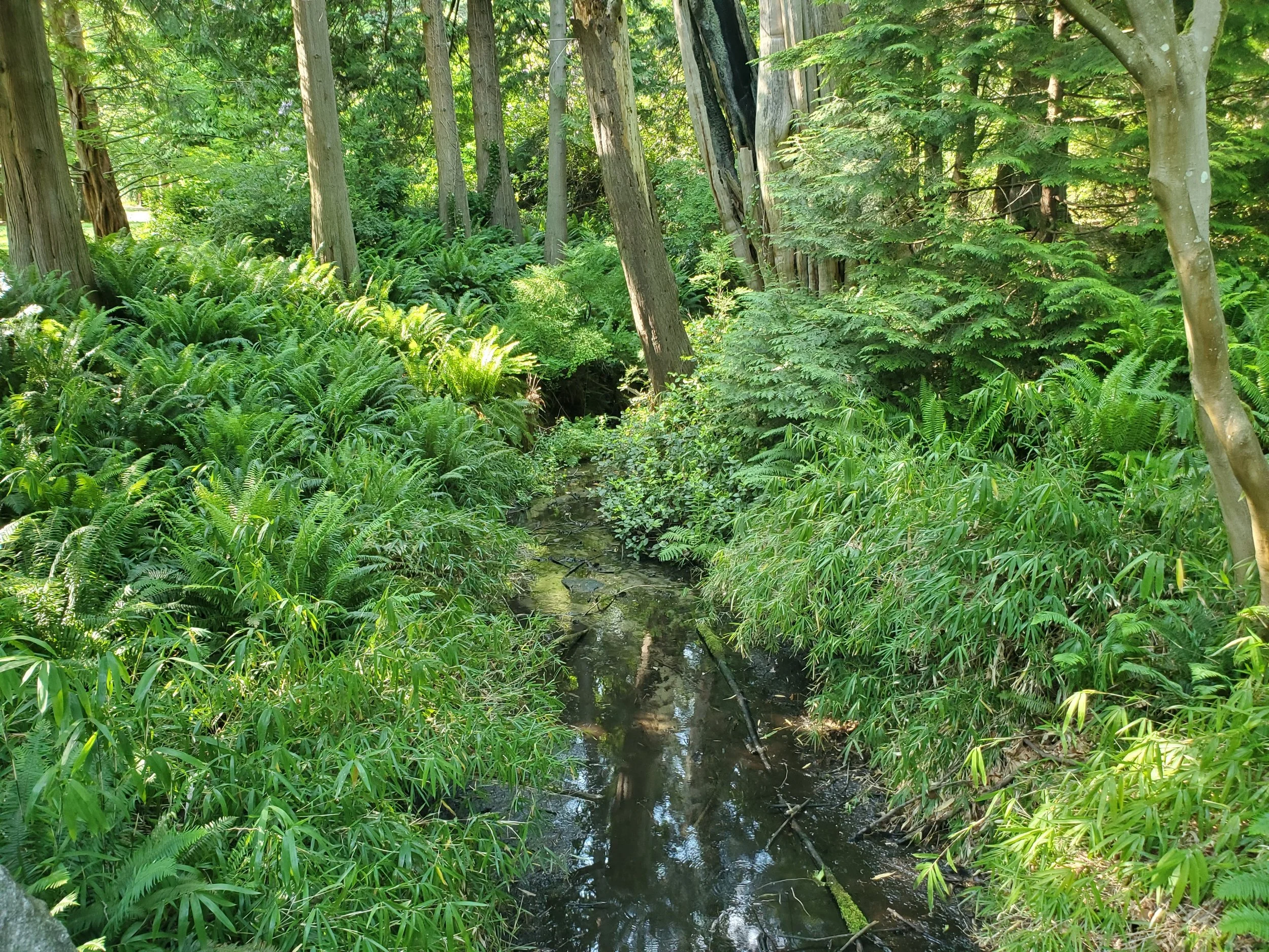 20250602_164438.jpg