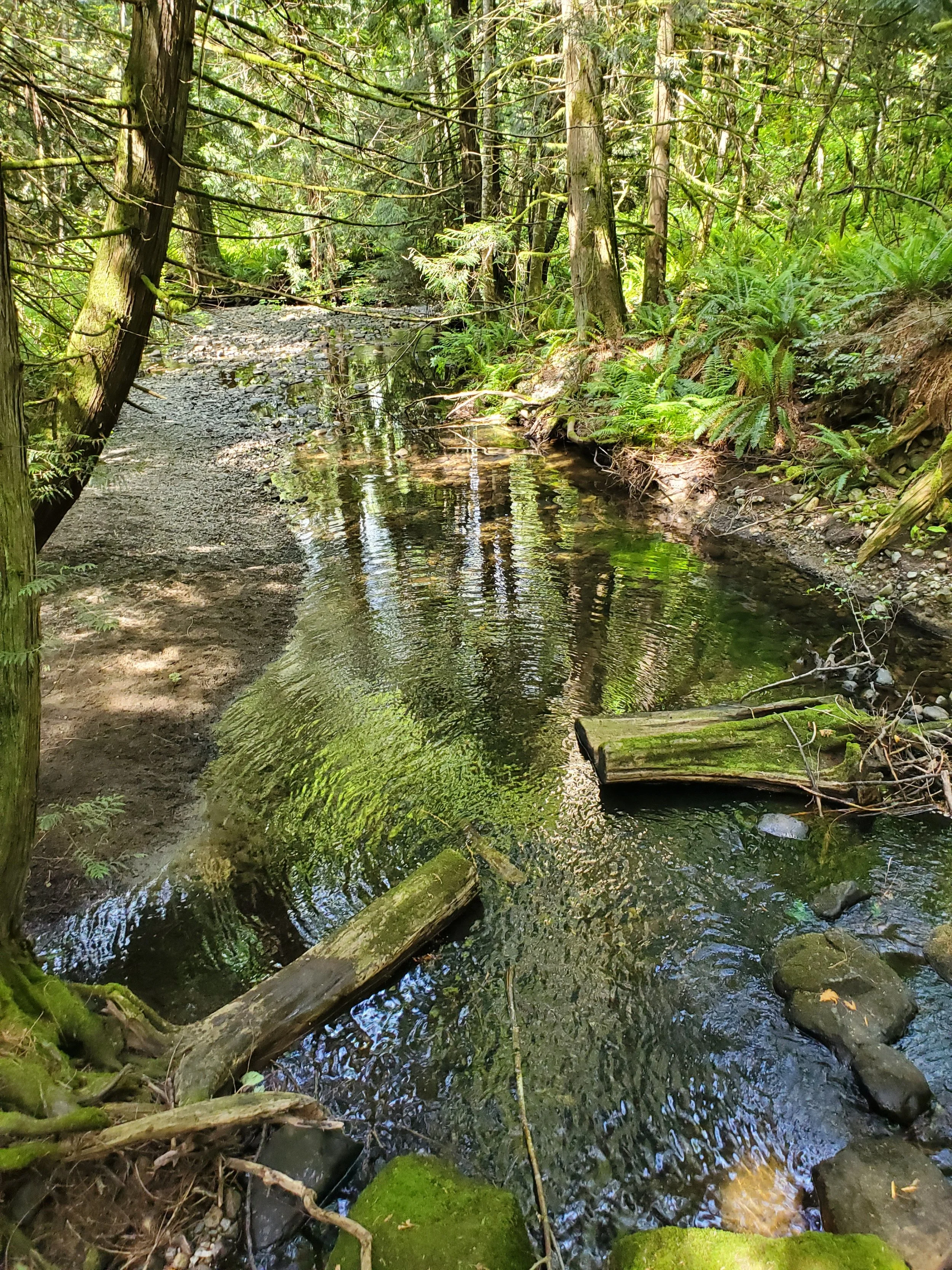 20250604_150611.jpg