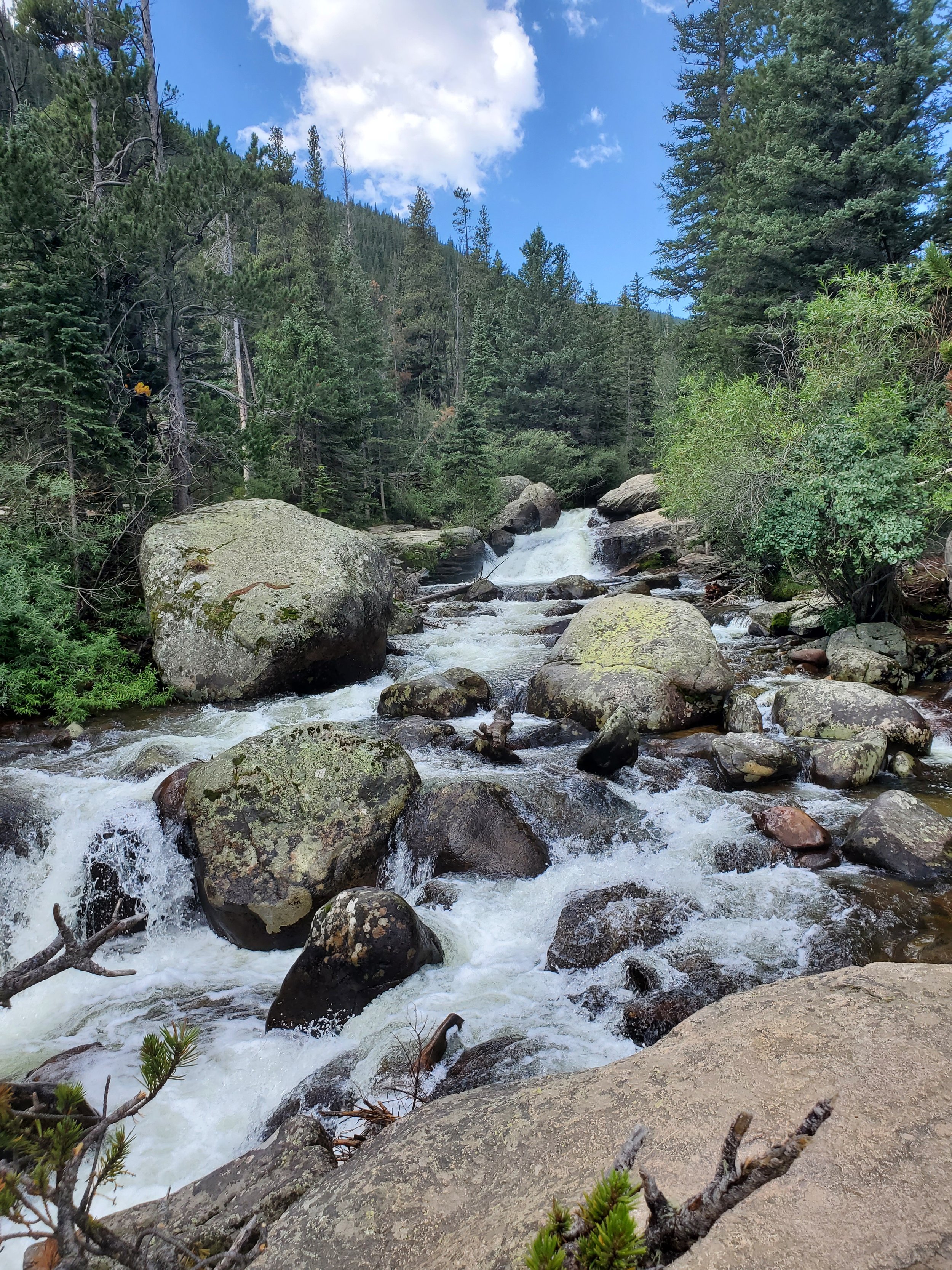 20220730_104522.jpg