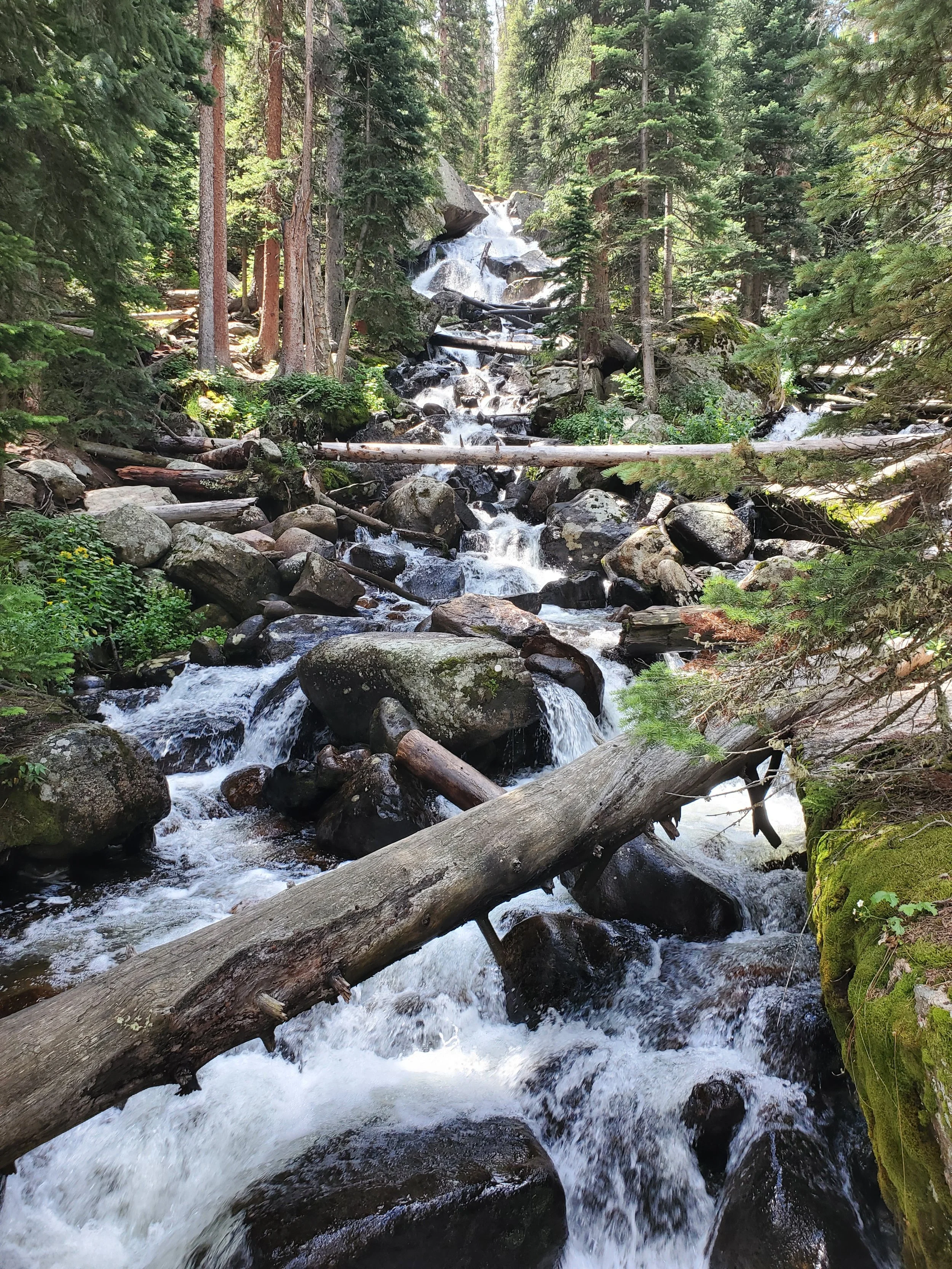 20220730_115354.jpg