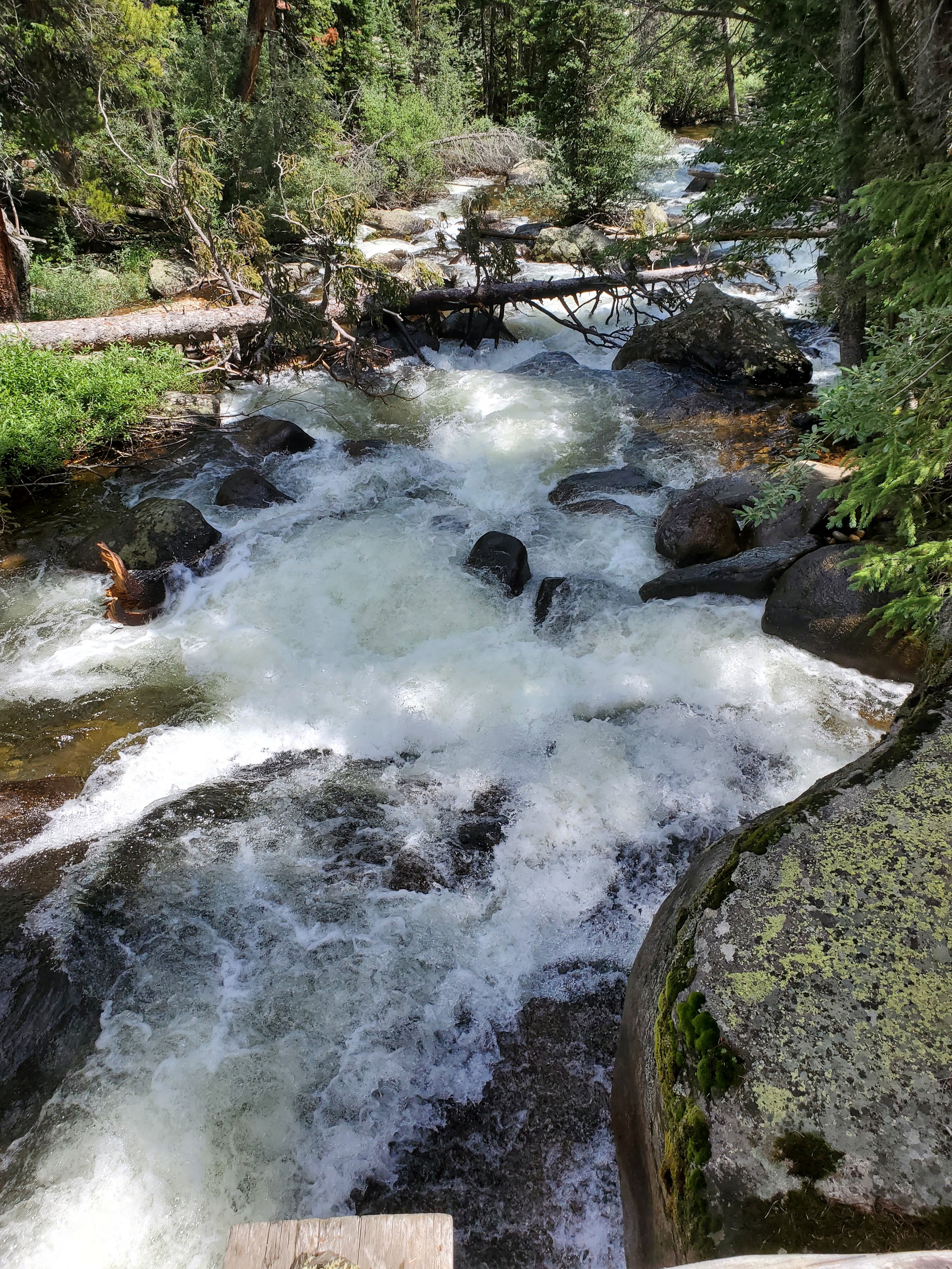 20220730_121358.jpg