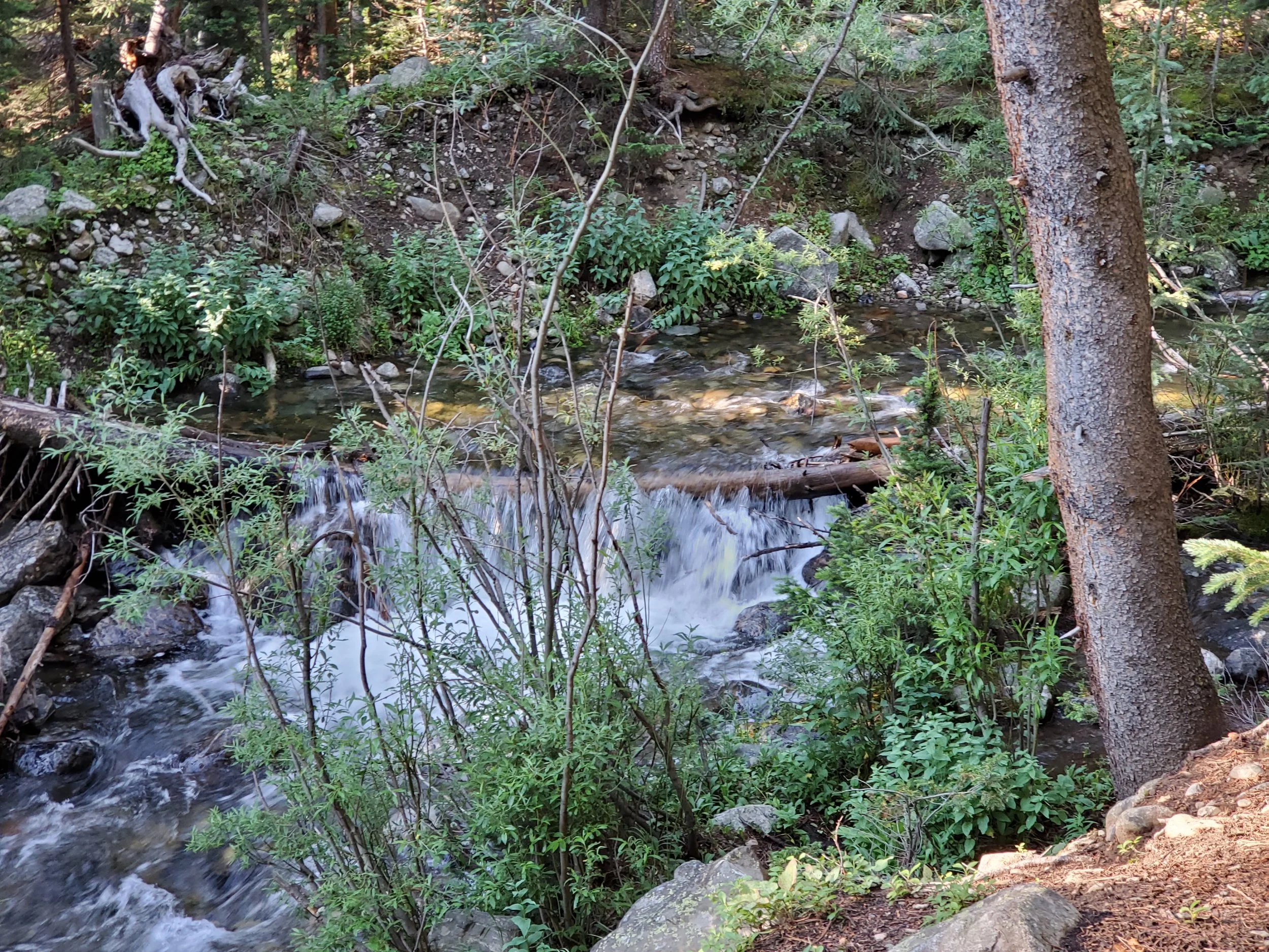 20220726_080856.jpg