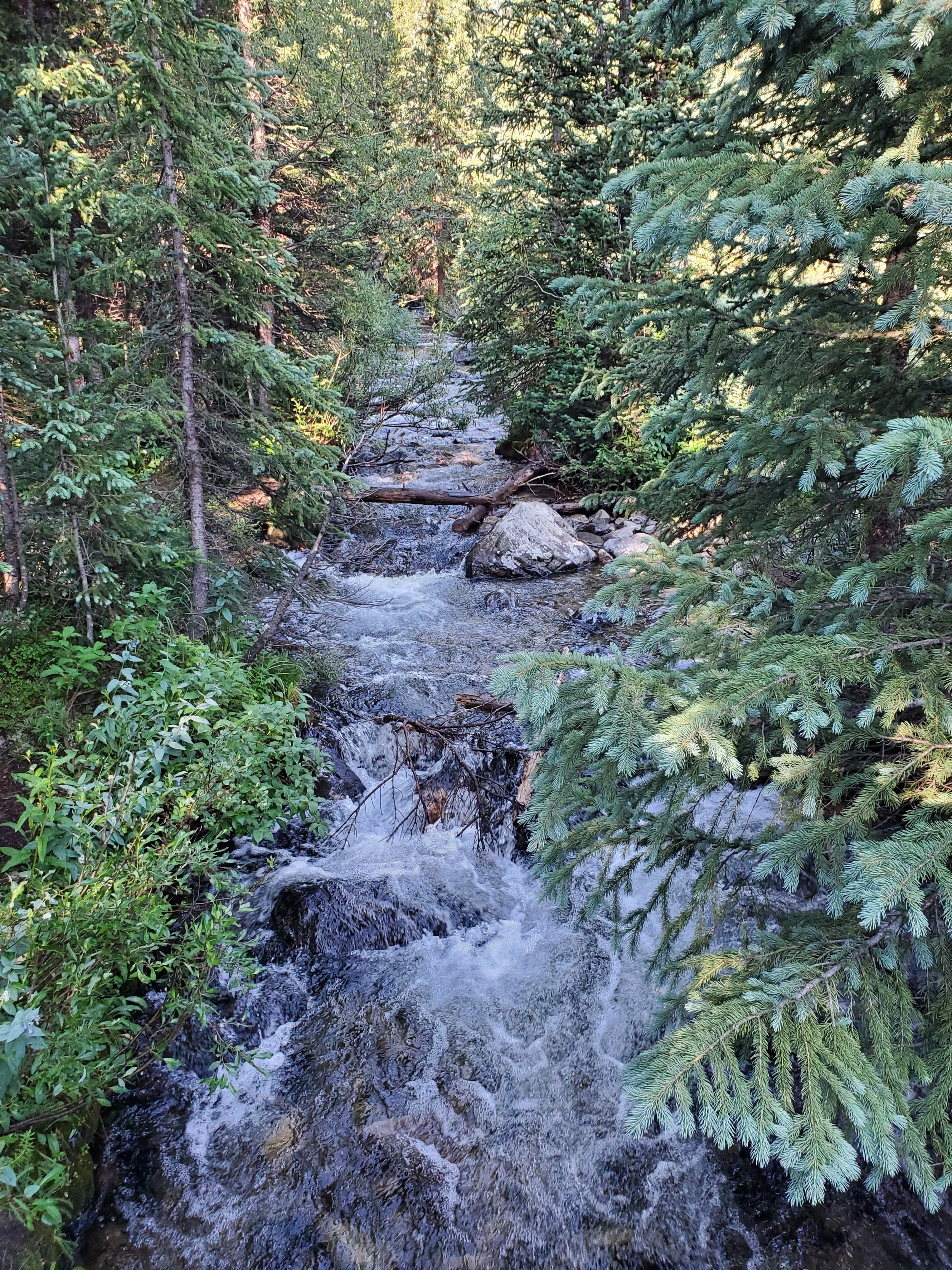 20220726_082523.jpg