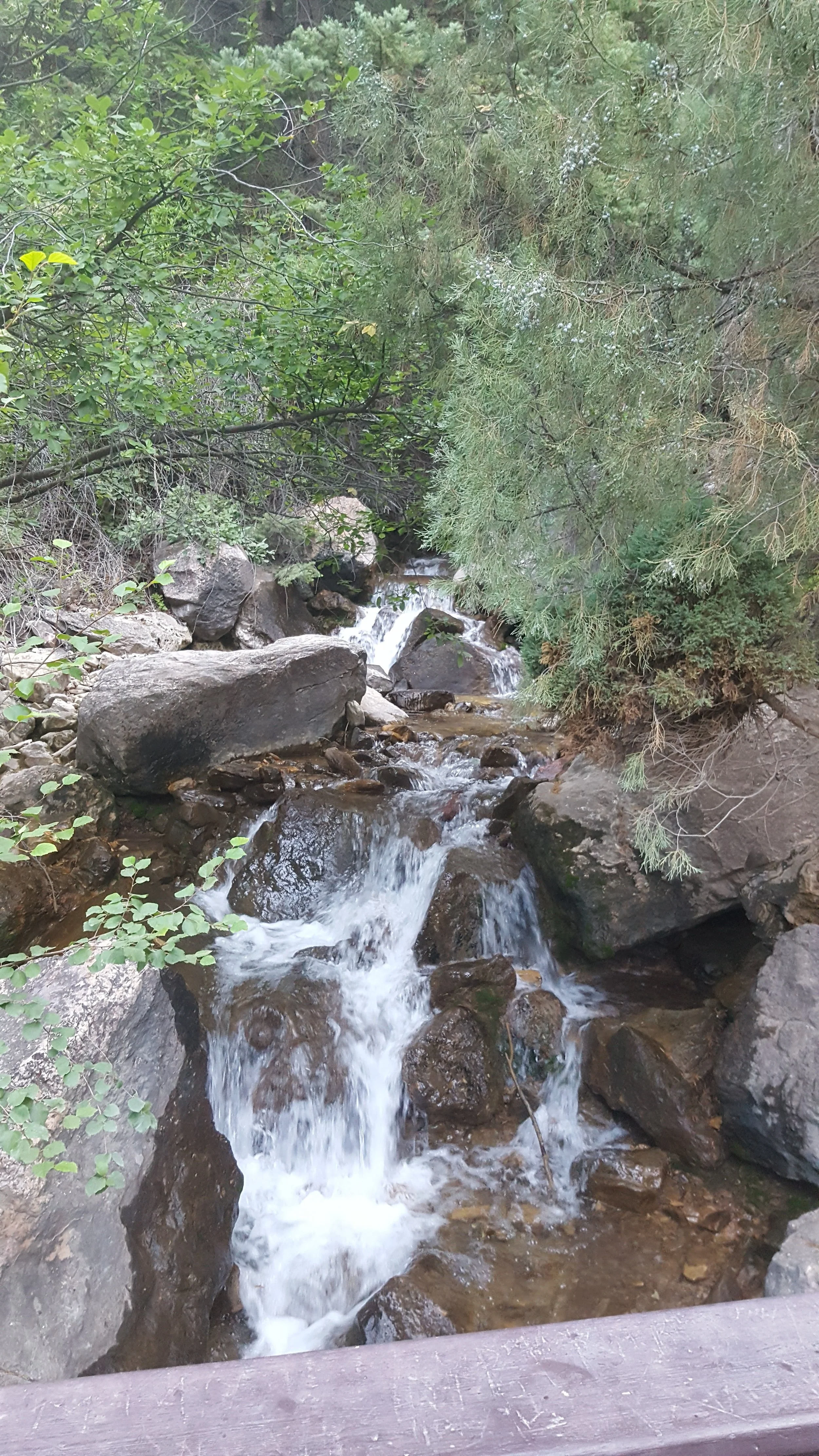 20170724_074748.jpg