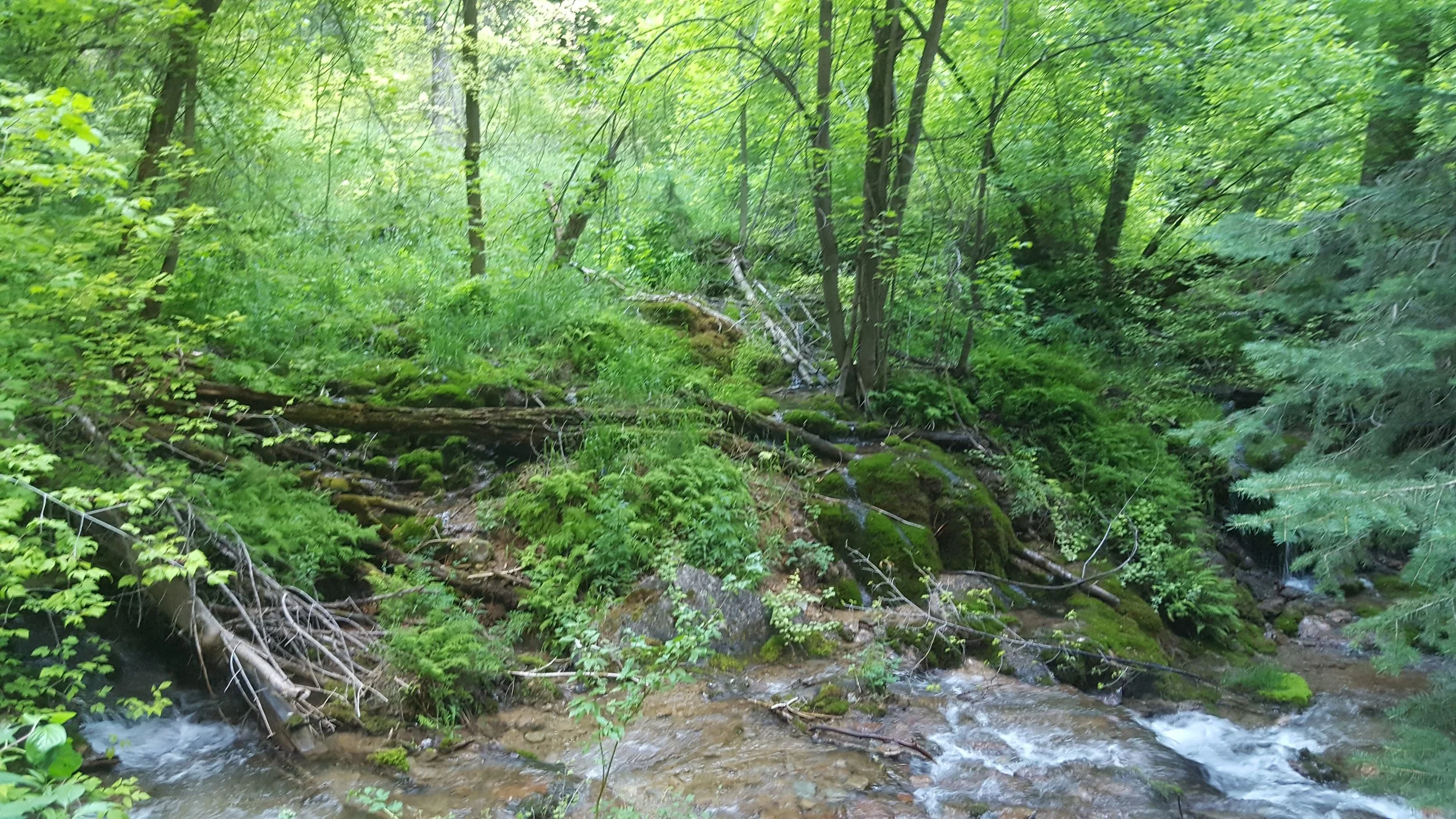 20170724_083146.jpg