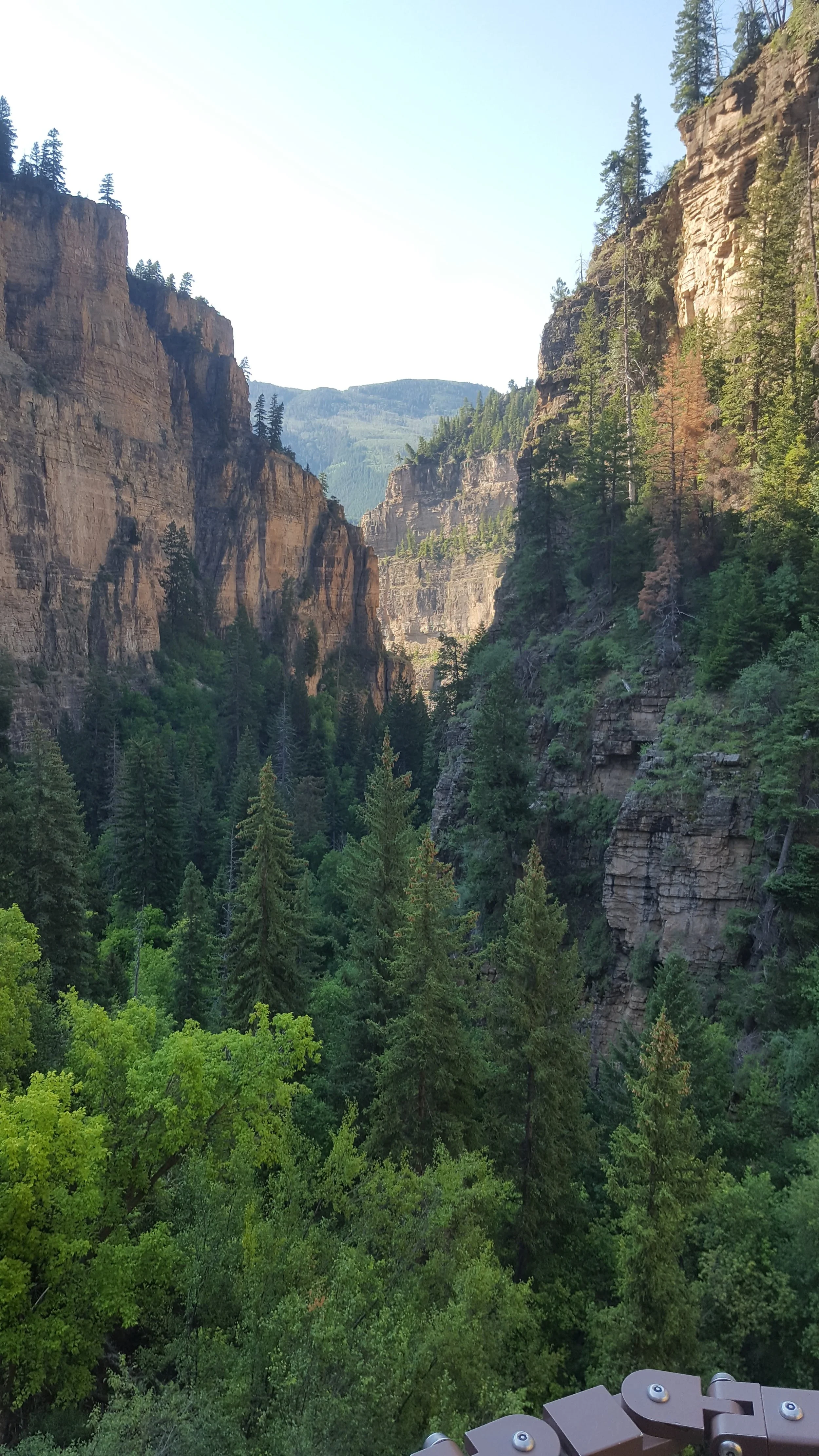 20170724_084735.jpg