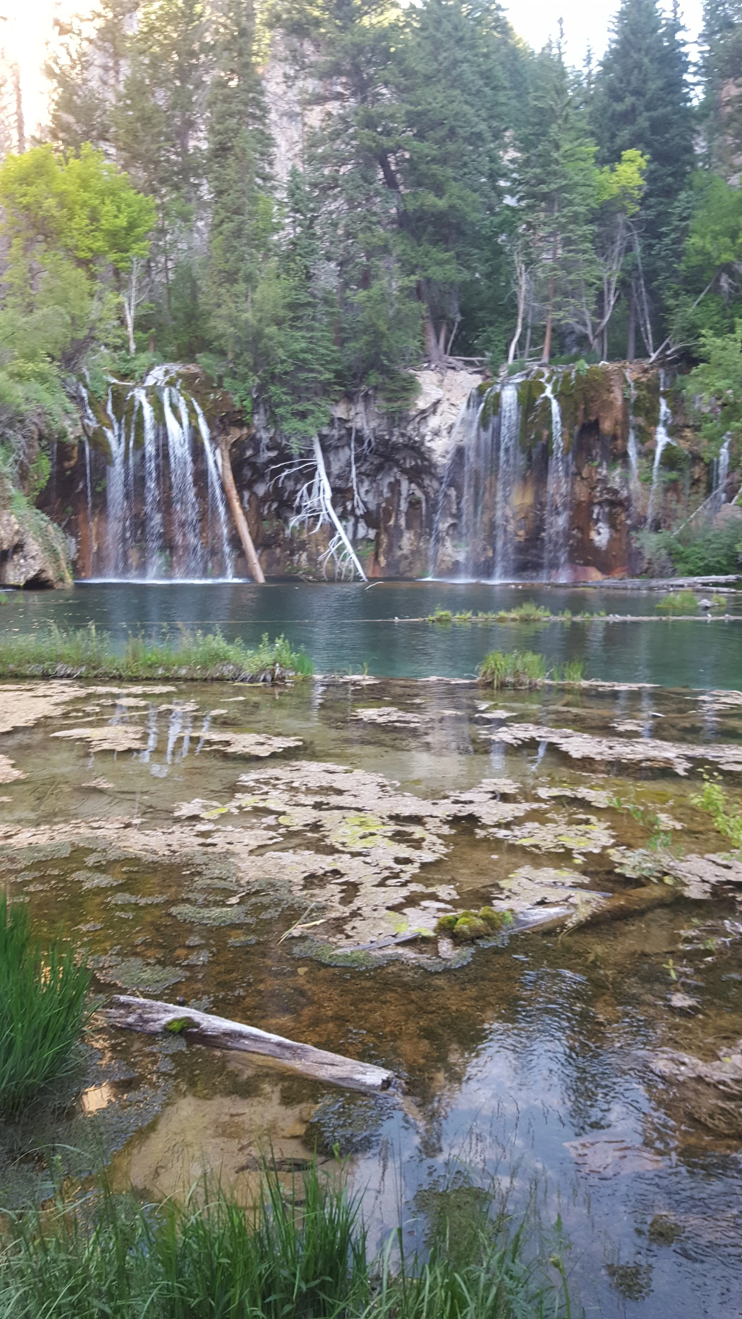 20170724_085035.jpg
