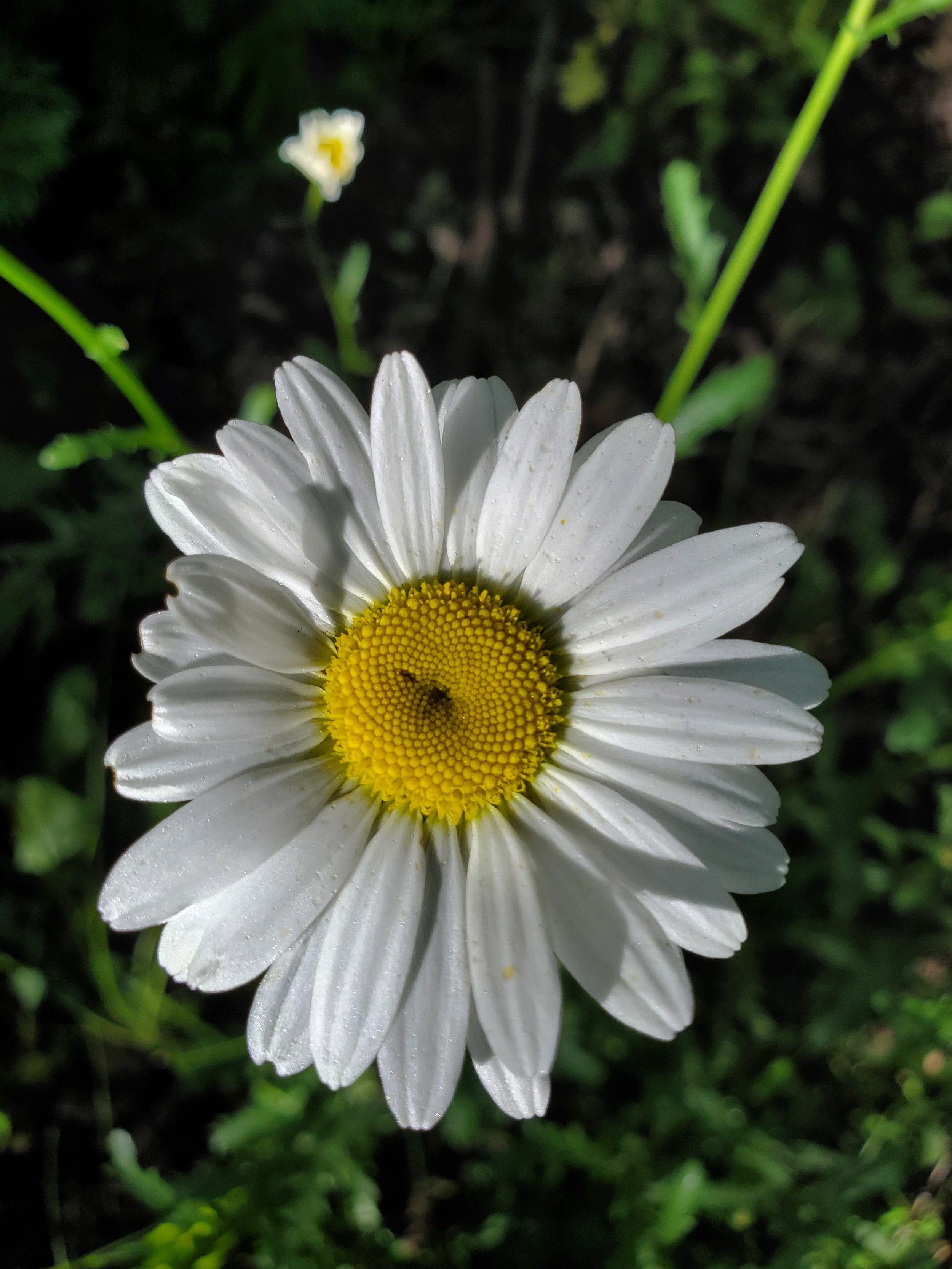 20220727_085034.jpg