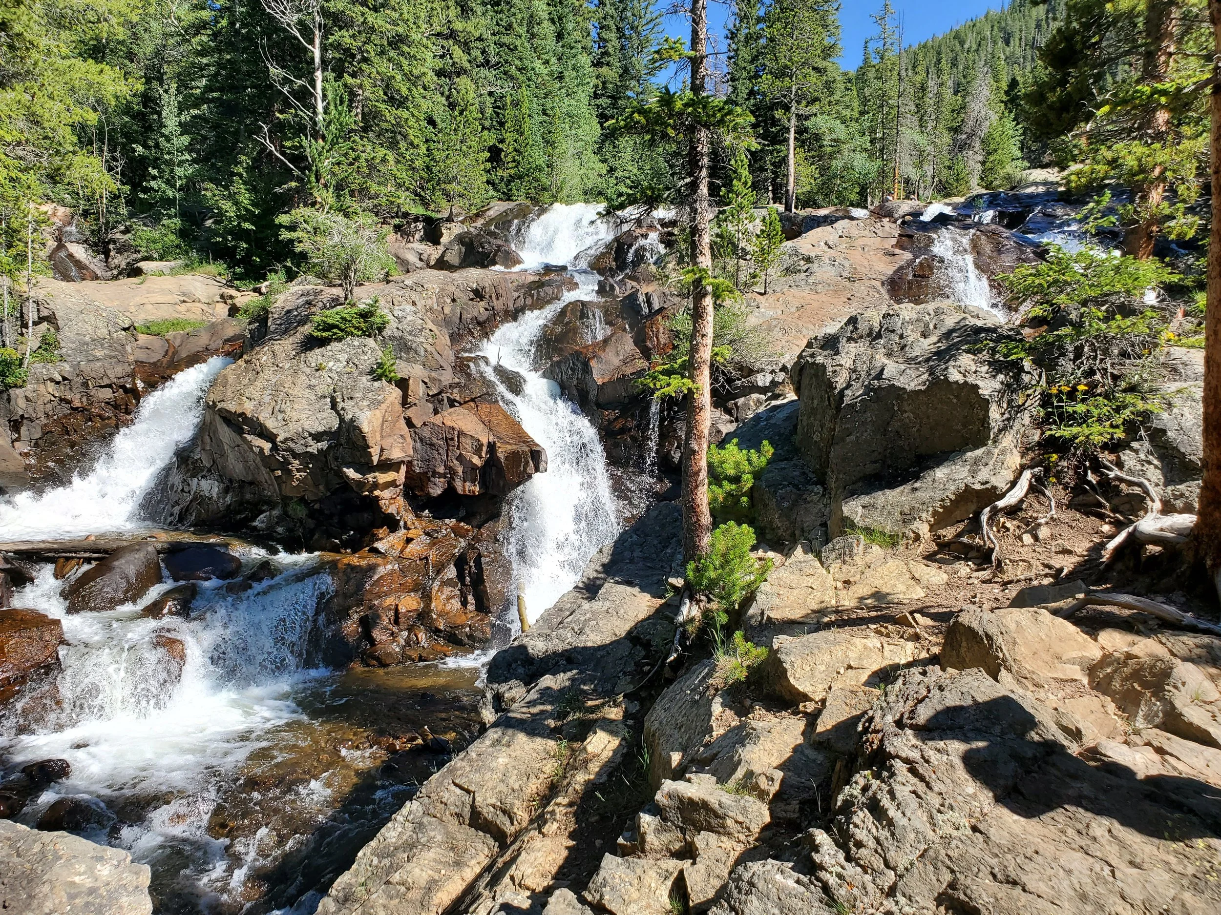 20220727_094404.jpg
