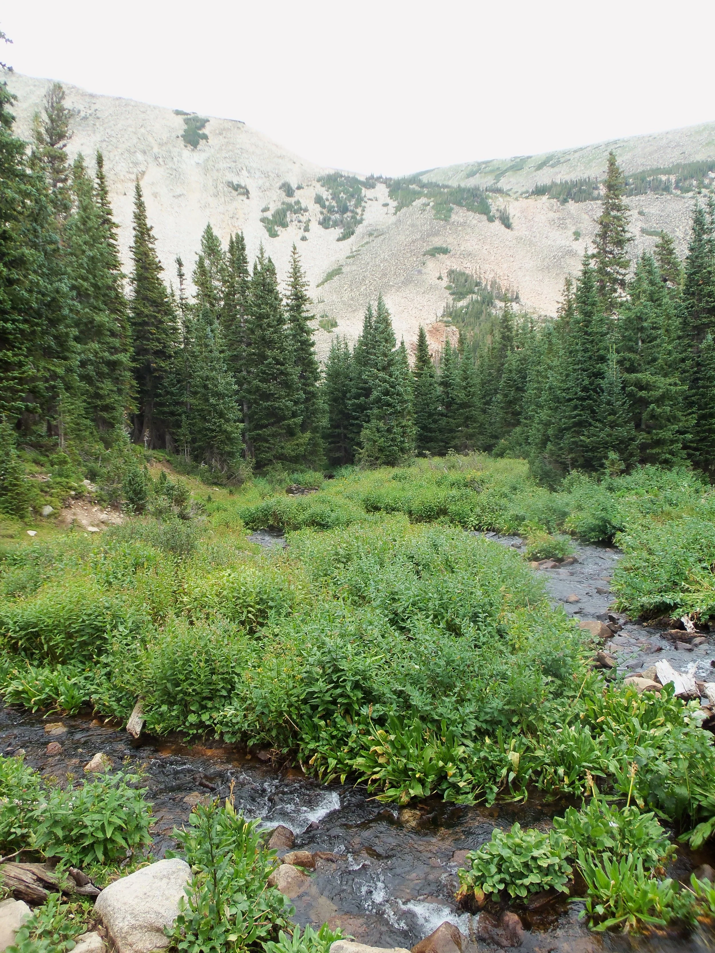 100_1017.JPG