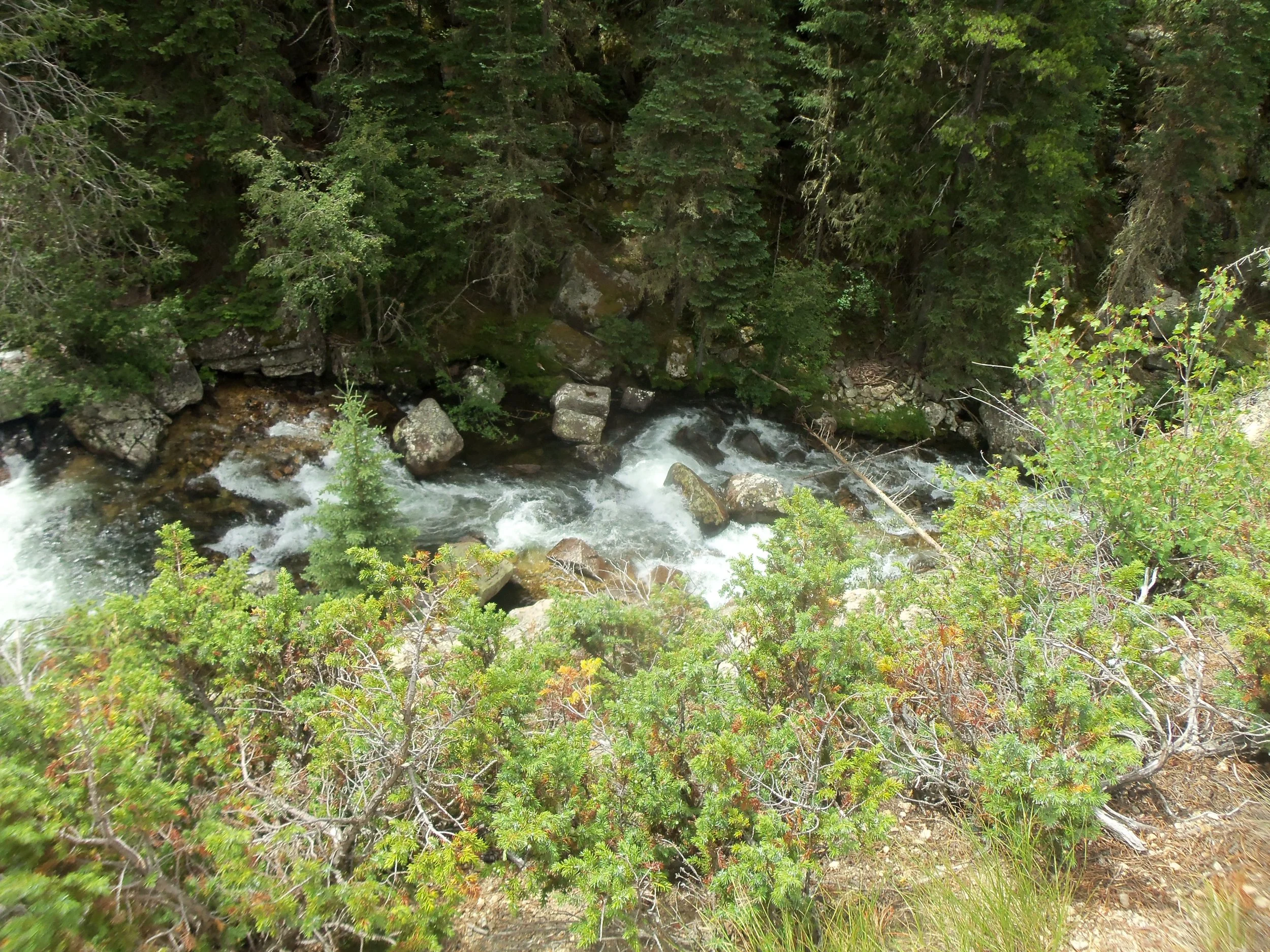 100_1409.JPG