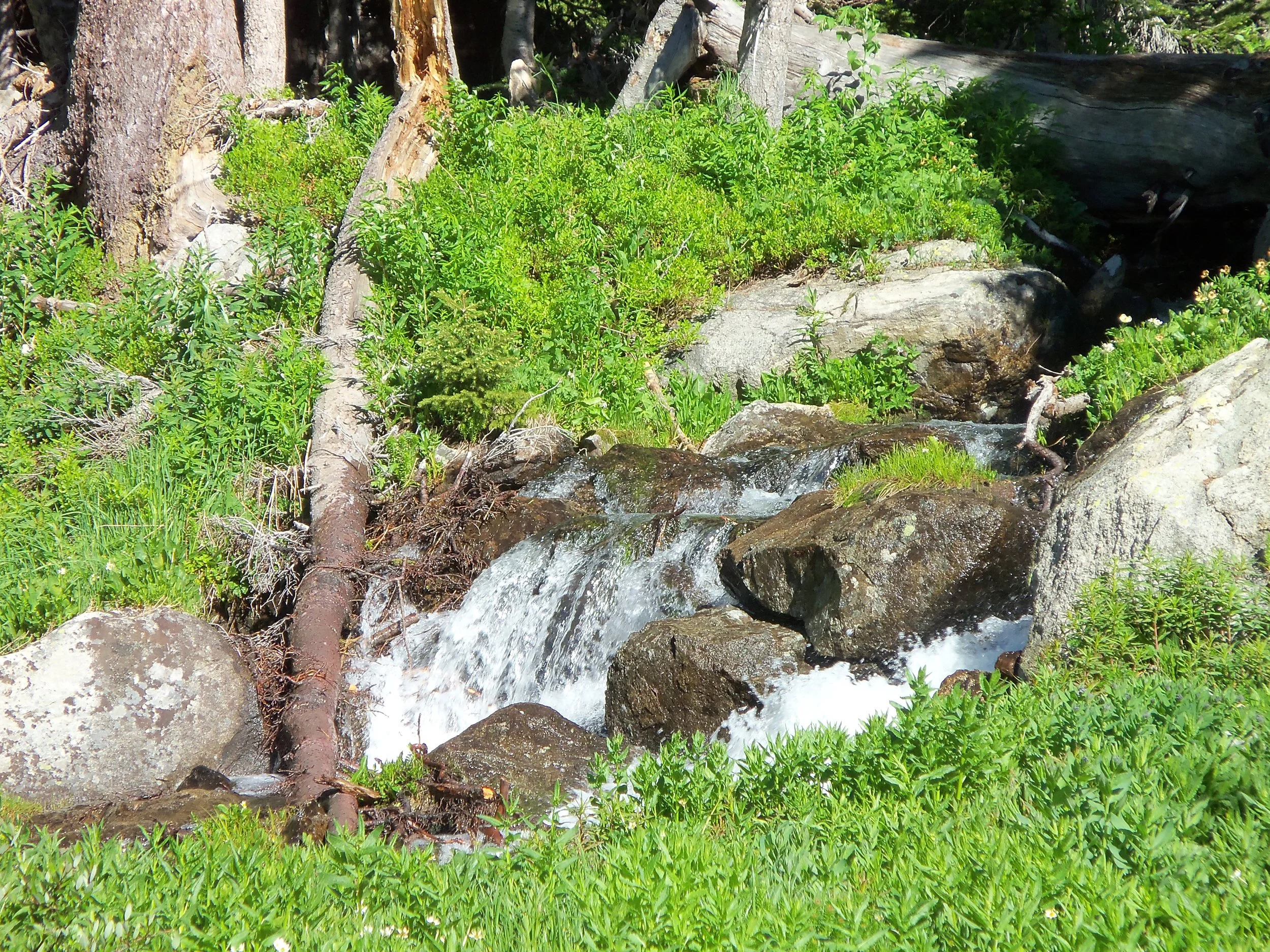 Summer 2010 154.JPG
