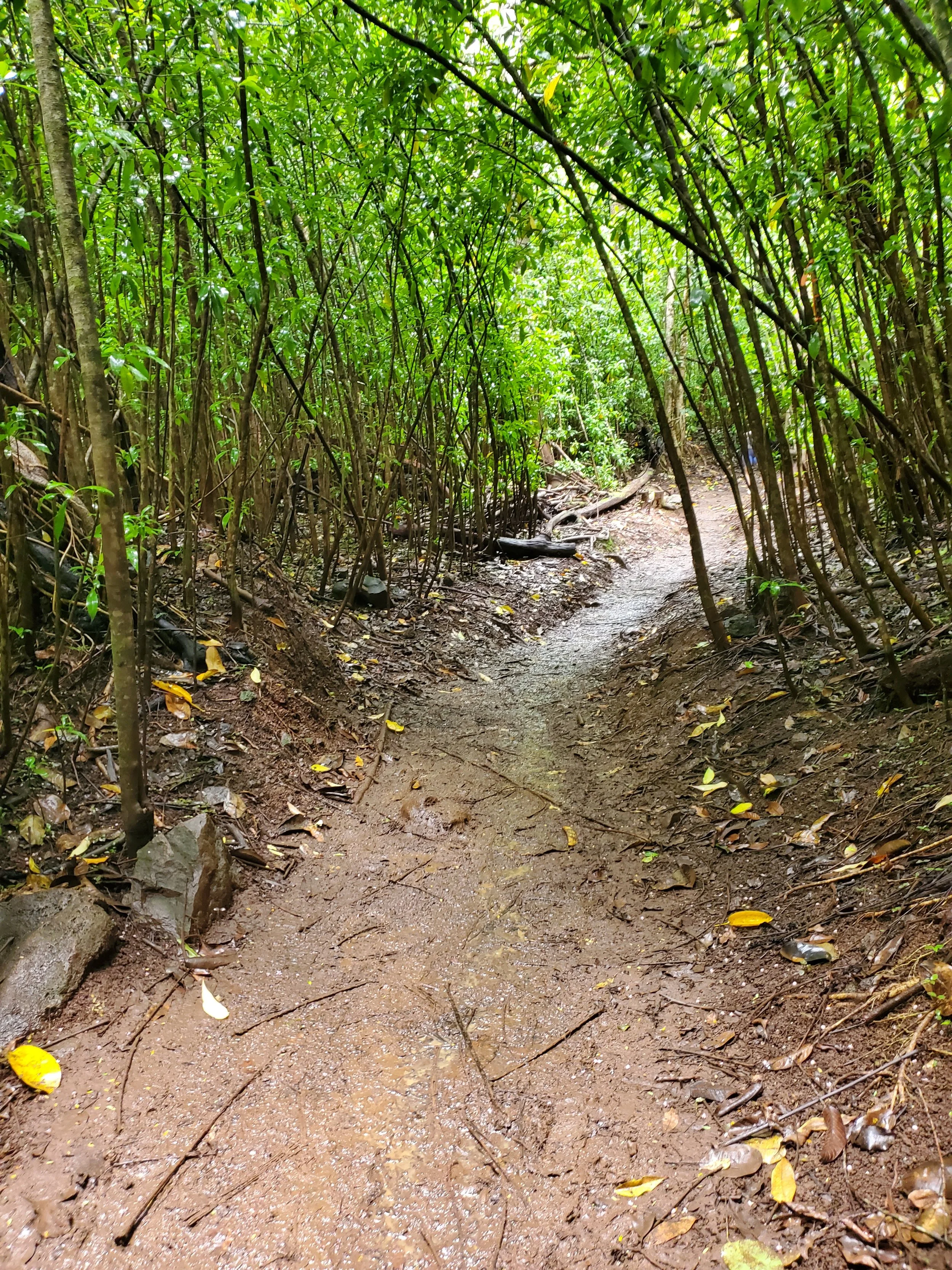 20240730_105211.jpg