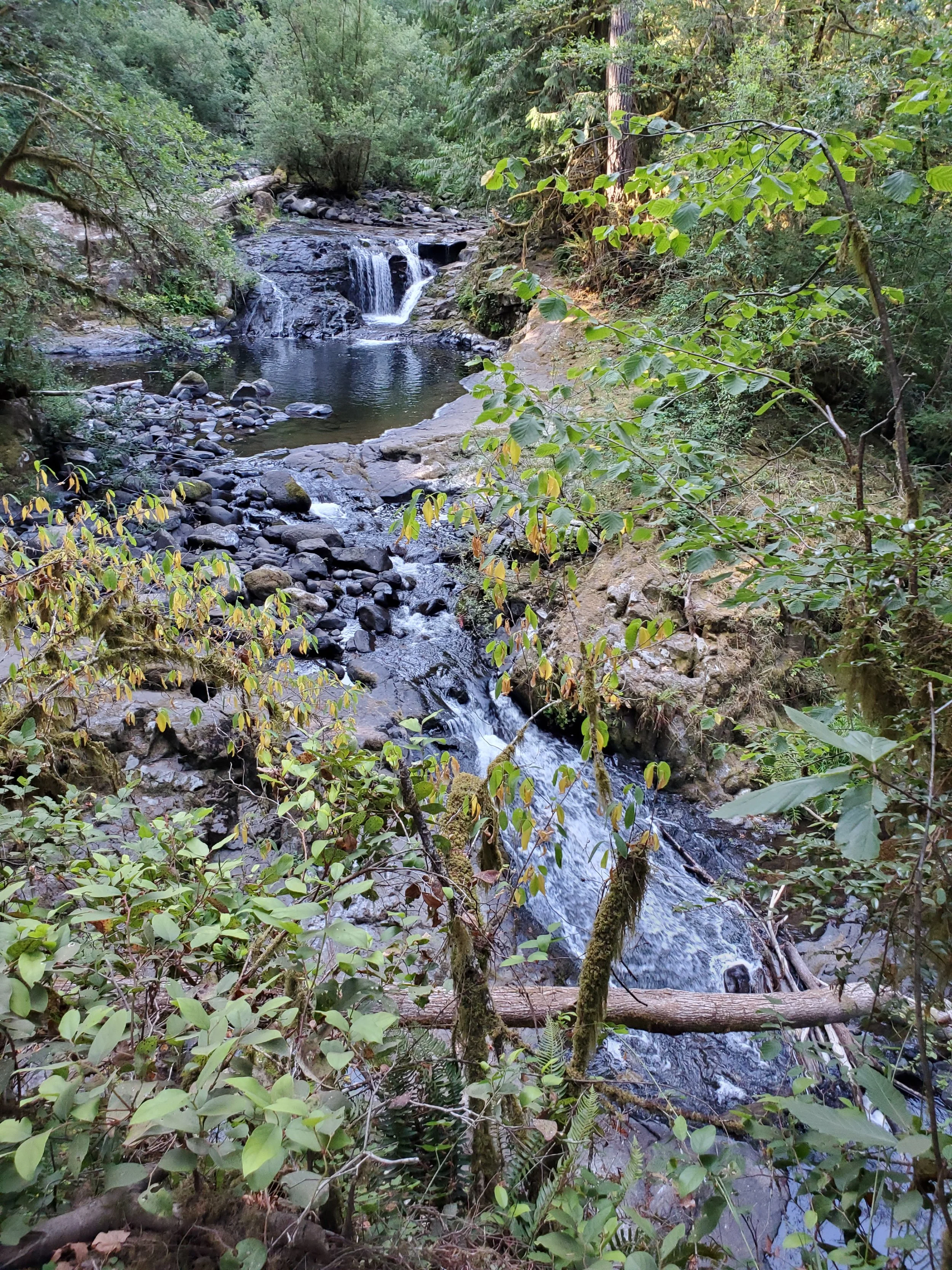 20210729_090135.jpg