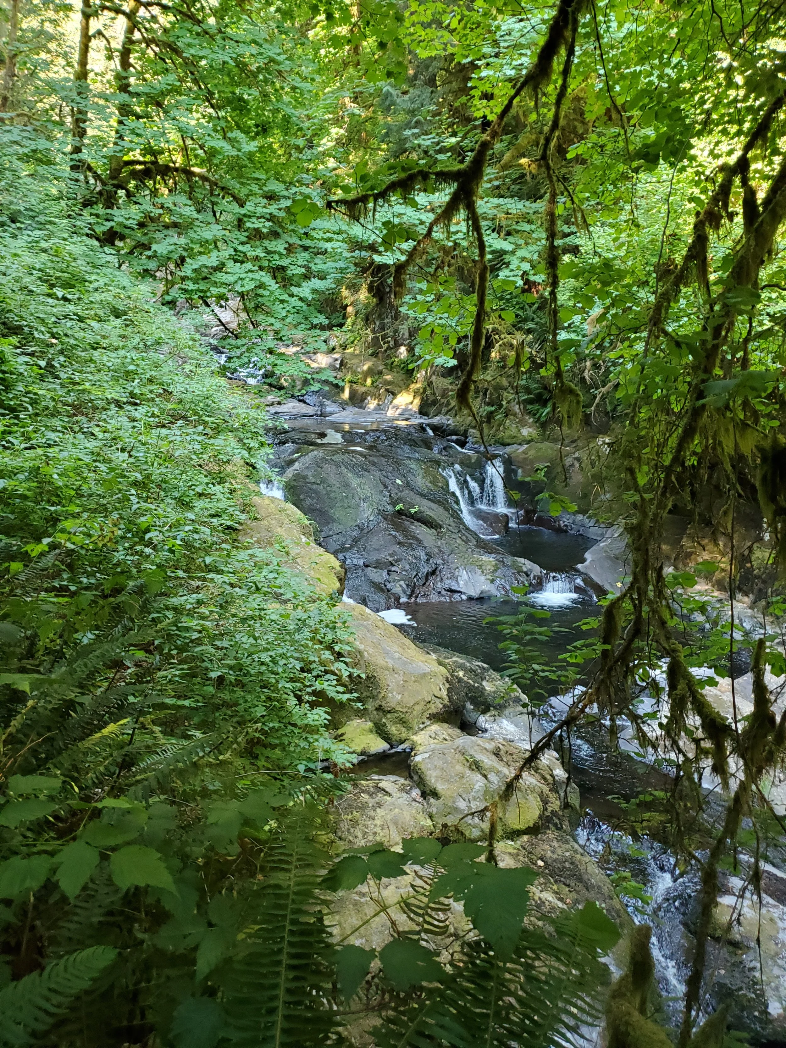 20210729_090814.jpg