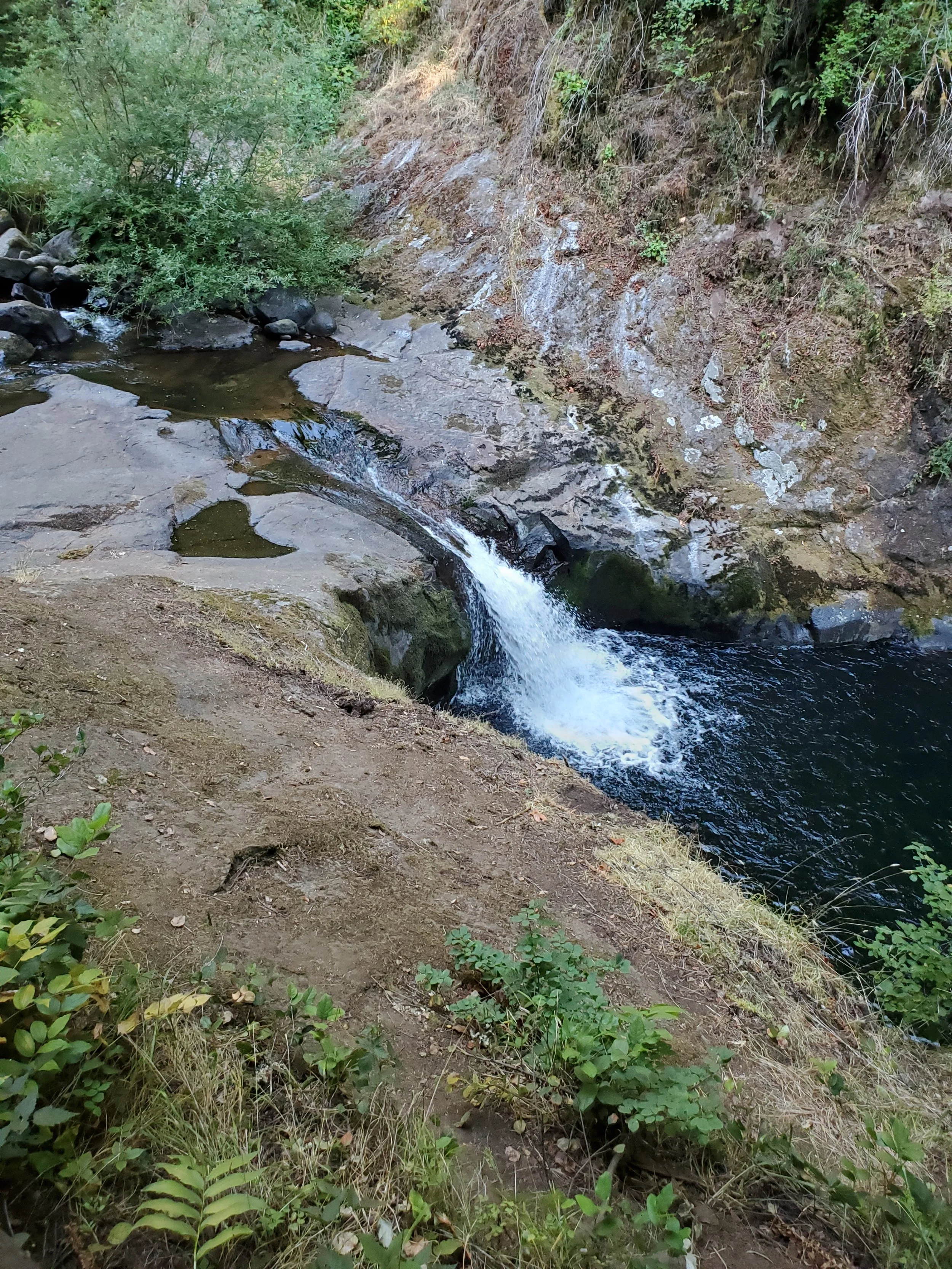 20210729_091530.jpg