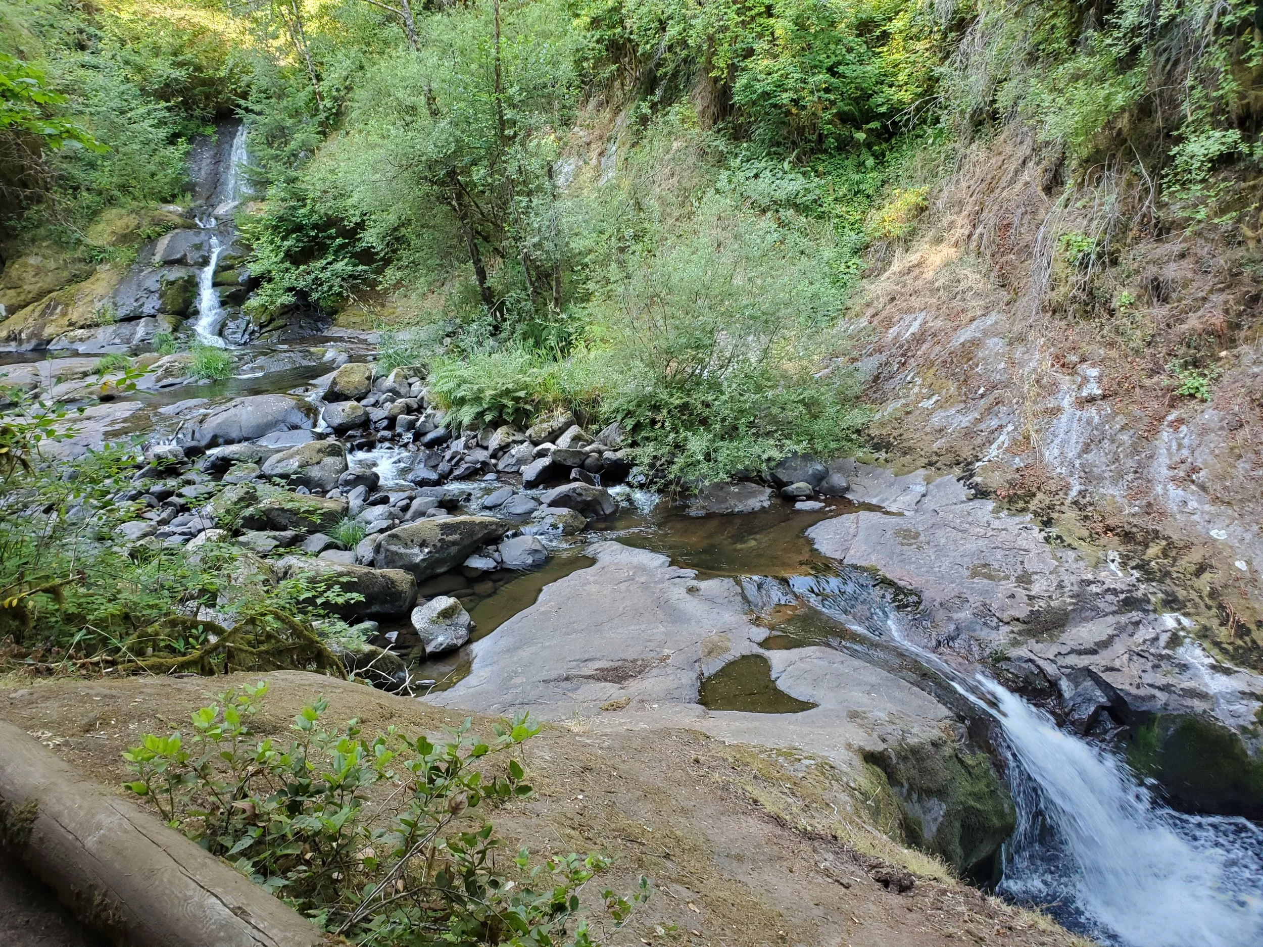 20210729_091538.jpg