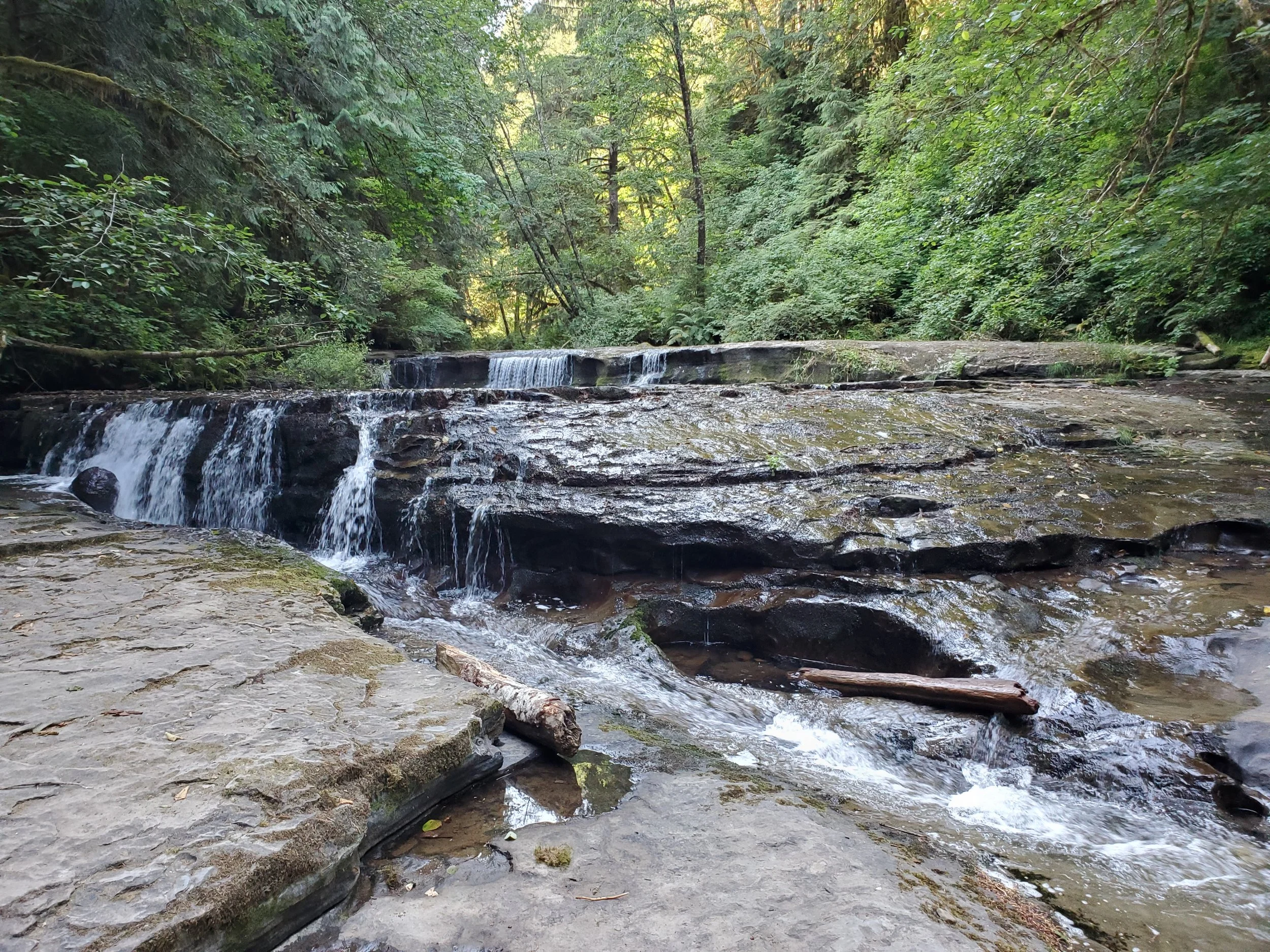 20210729_092603.jpg