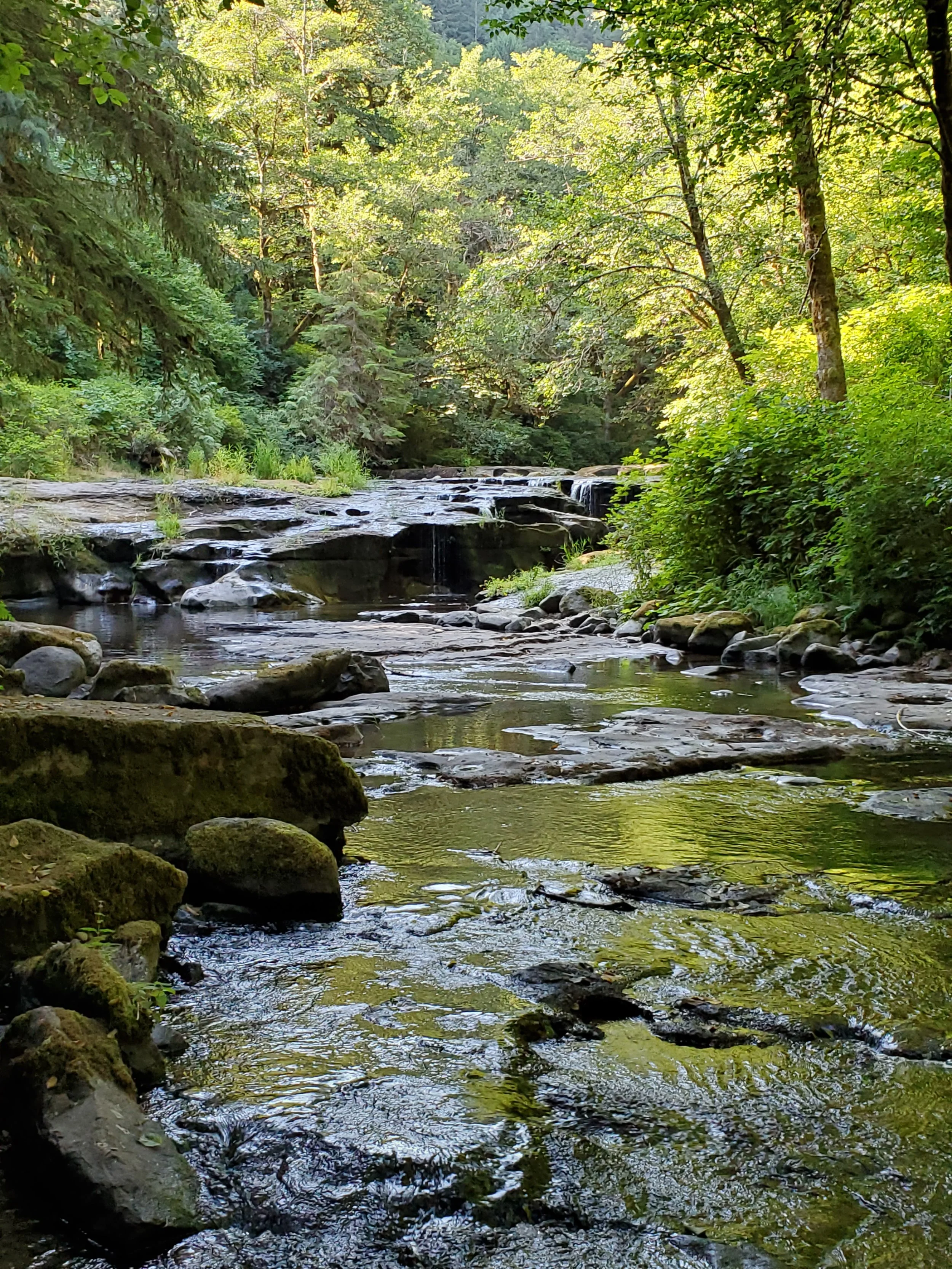 20210729_093608.jpg