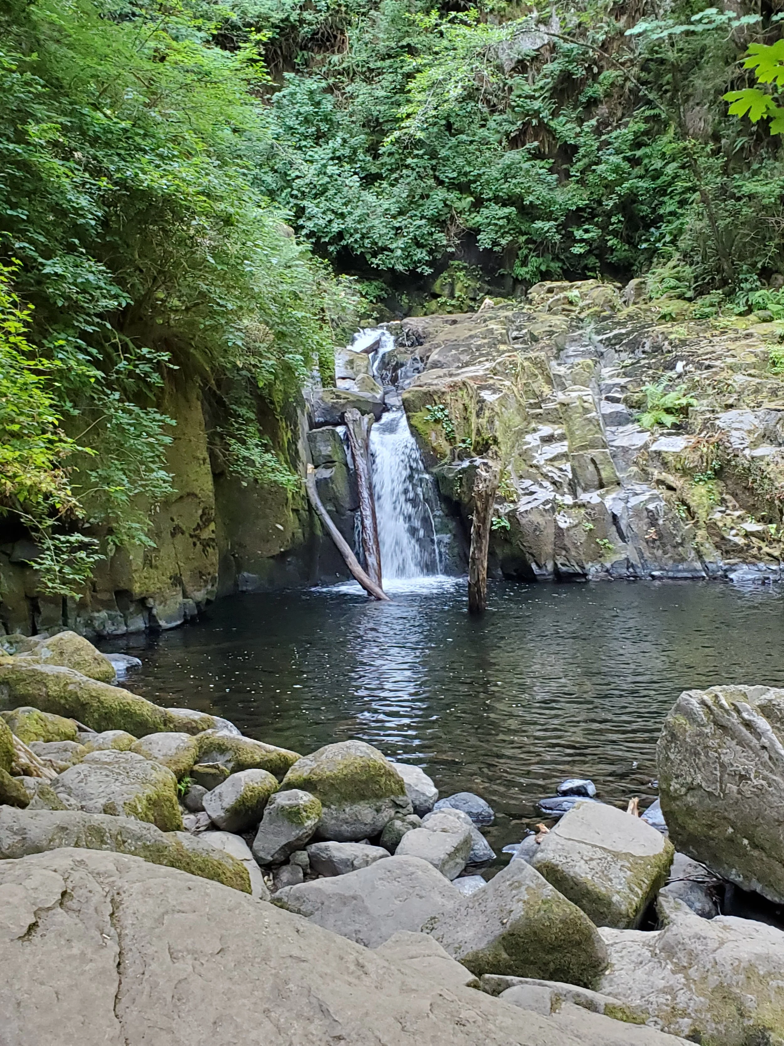 20210729_094854.jpg