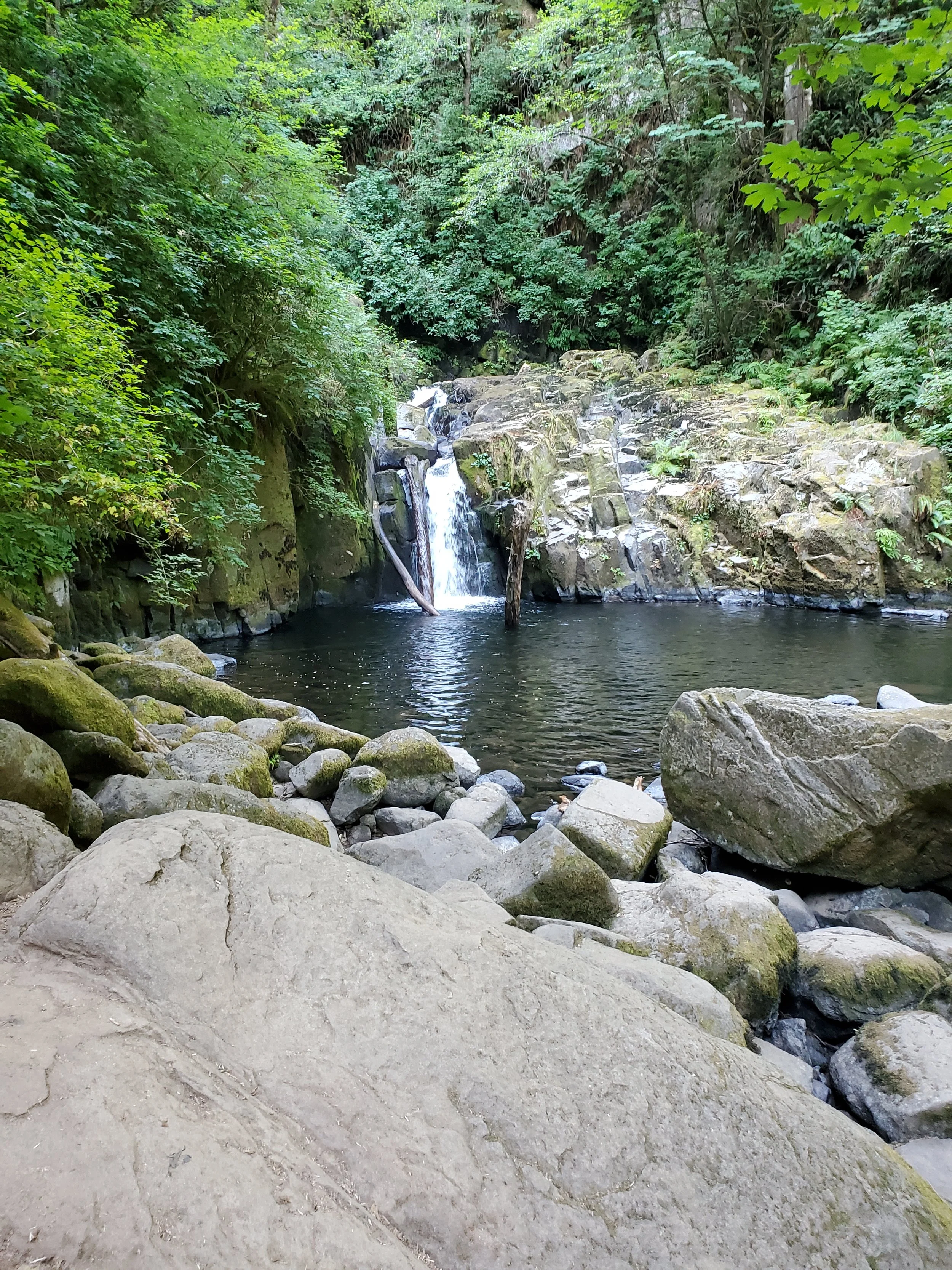 20210729_094849.jpg