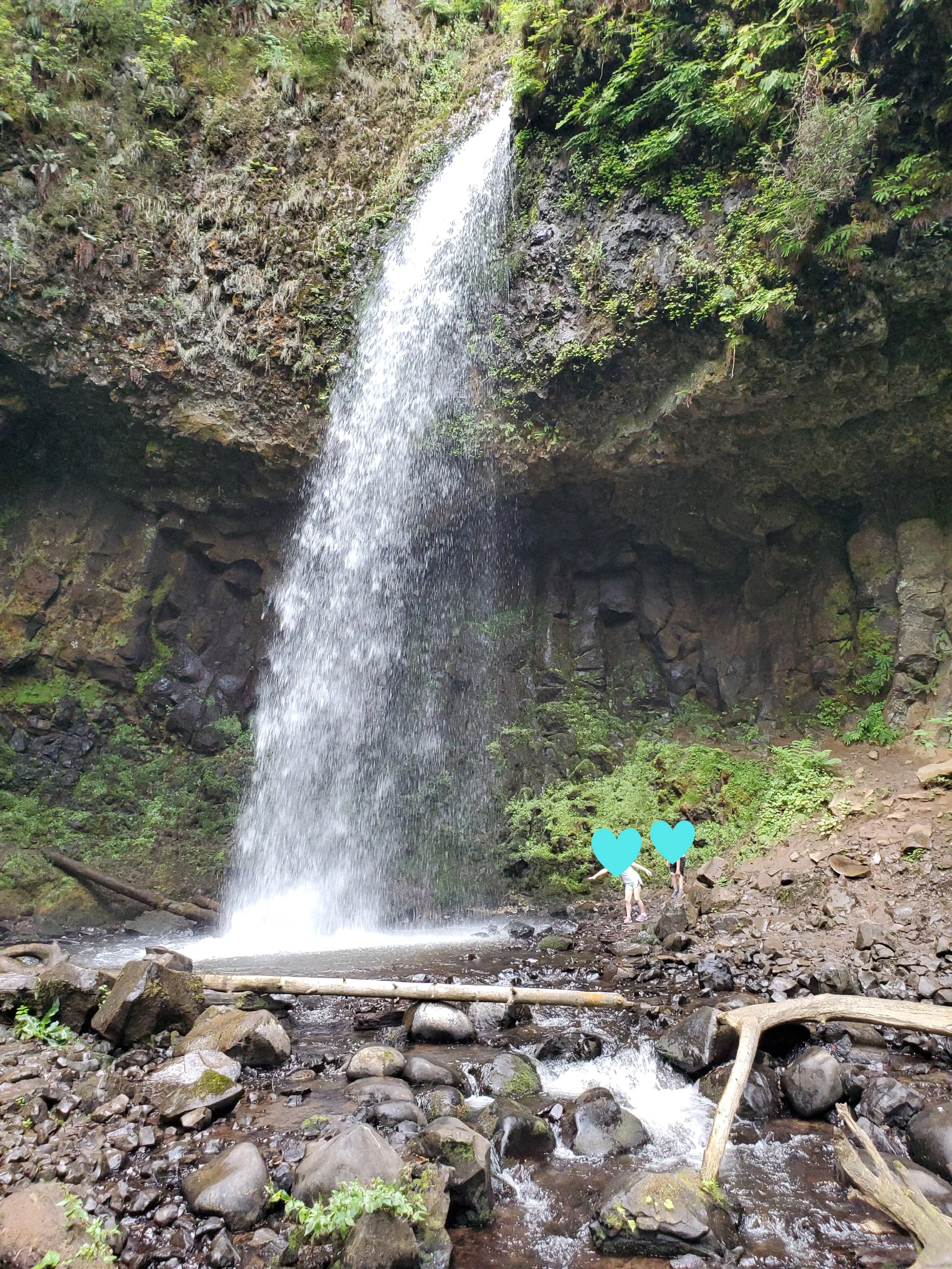 20210730_100603.jpg