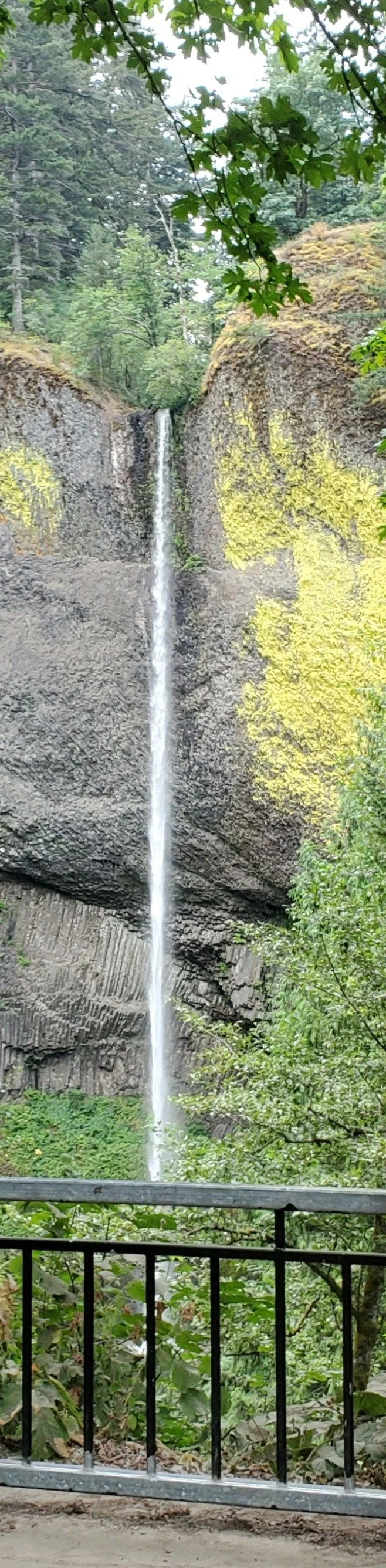 20210730_093132 cropped.JPG