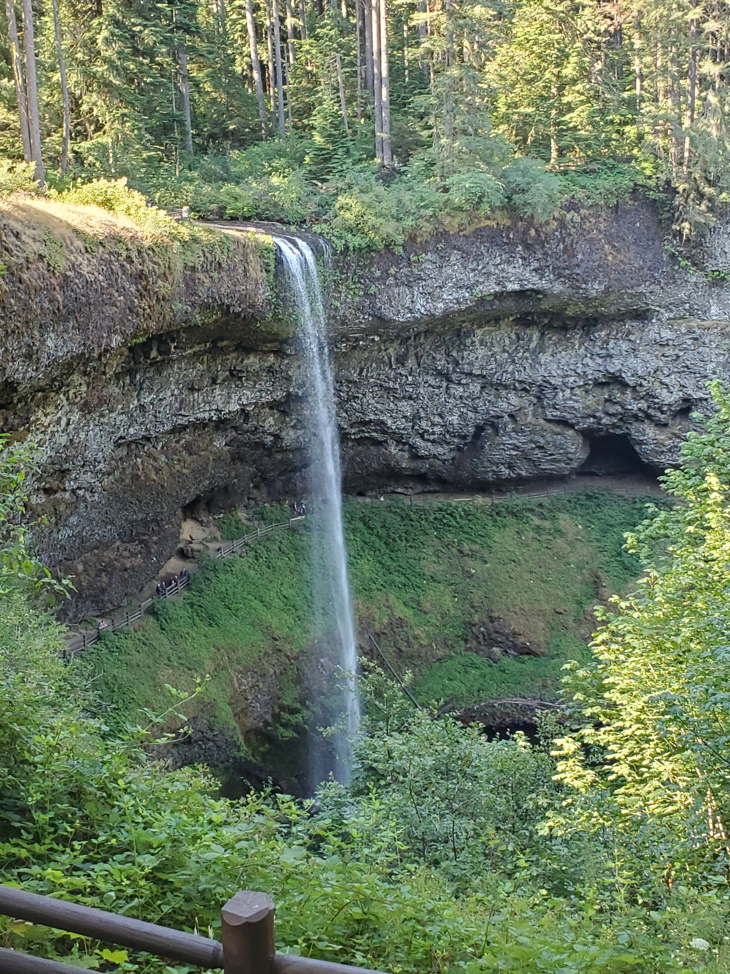 20210724_093728.jpg
