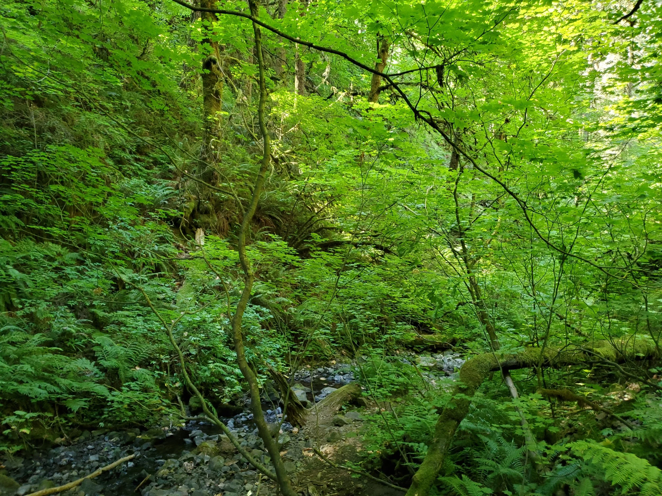 20210724_112150.jpg