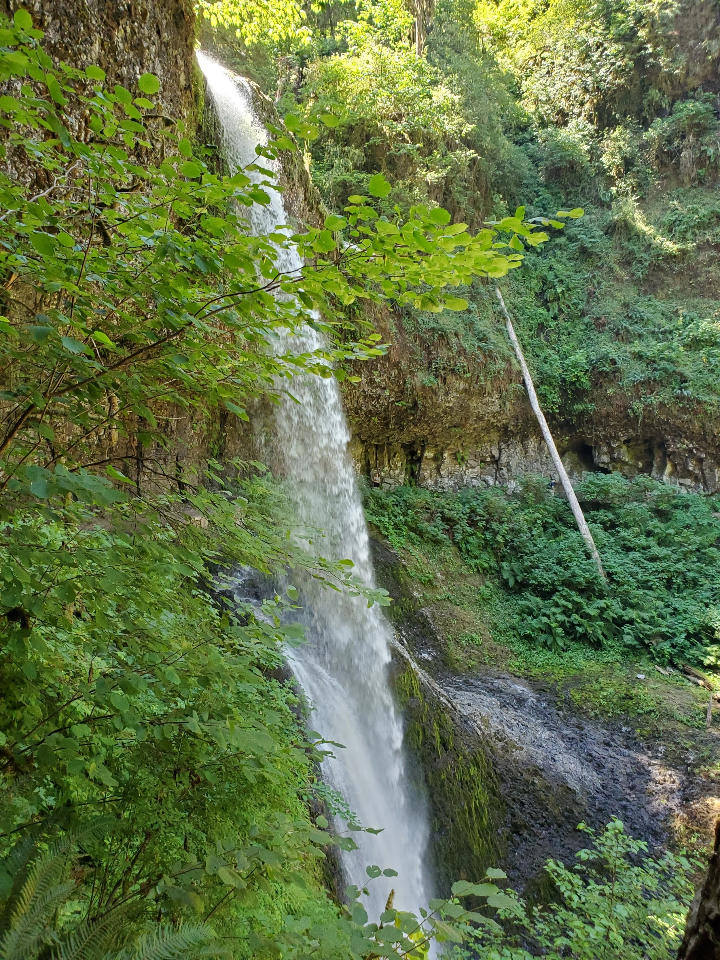 20210724_120546.jpg