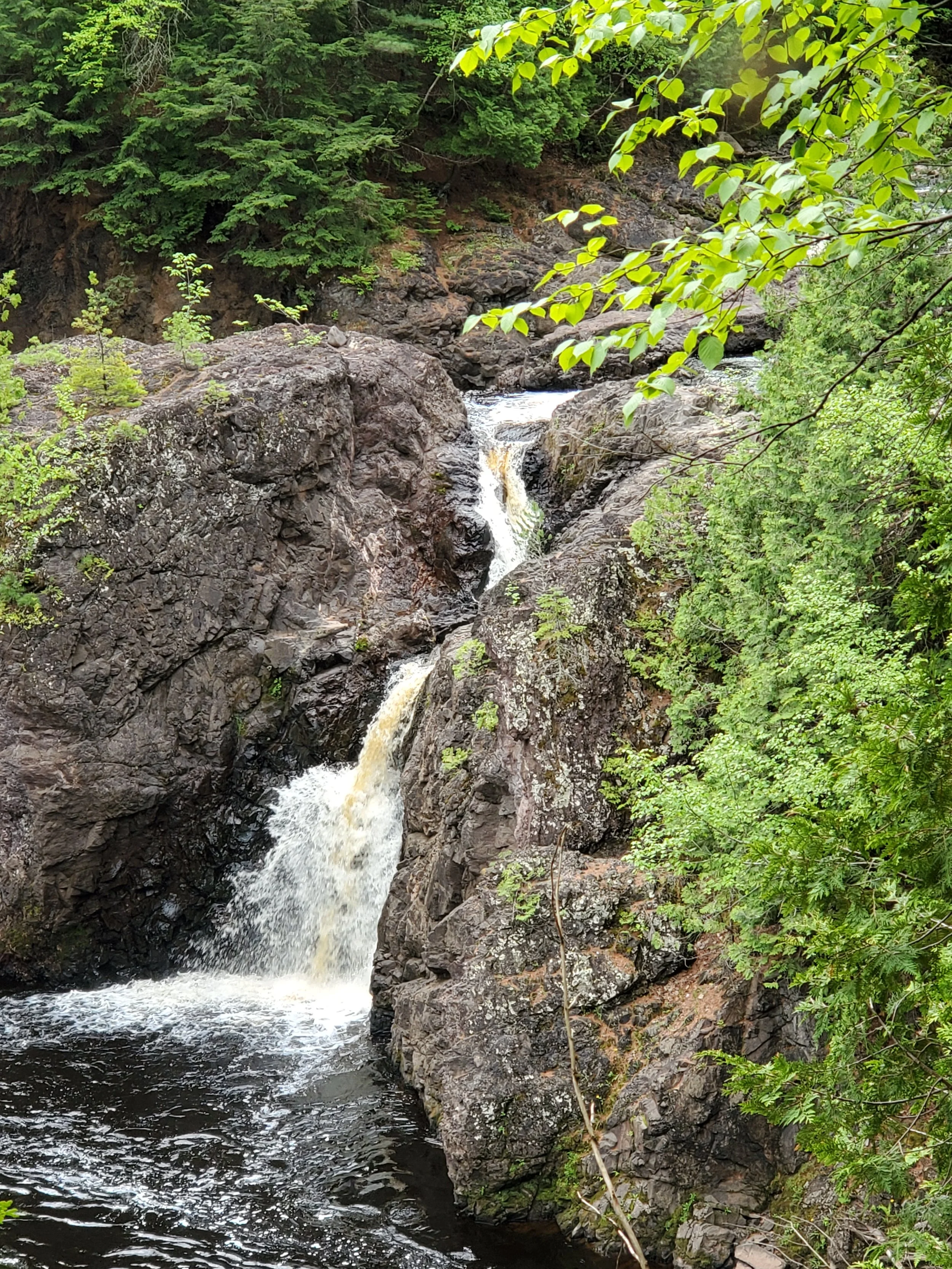 20210602_112313.jpg