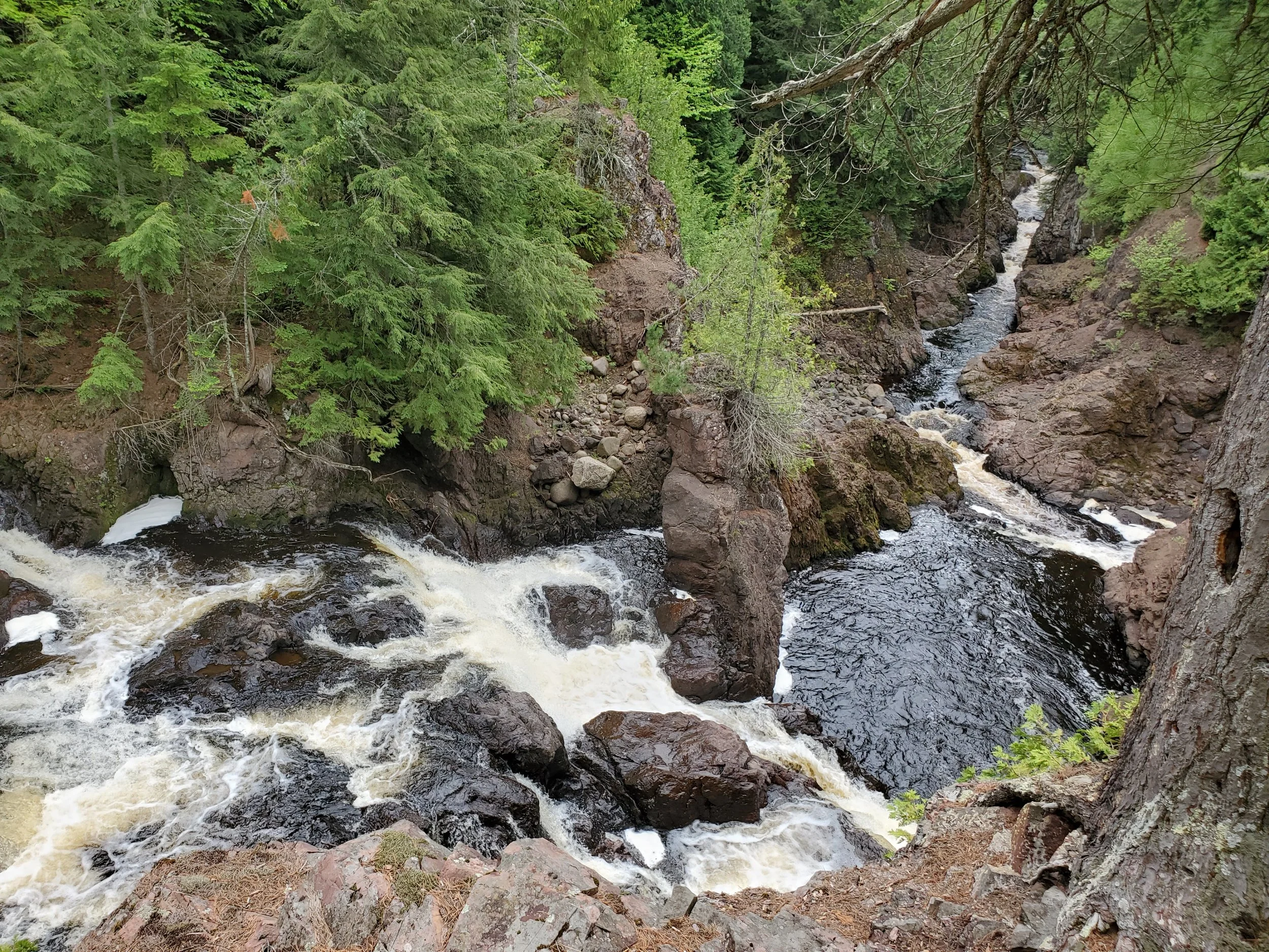 20210602_120702.jpg