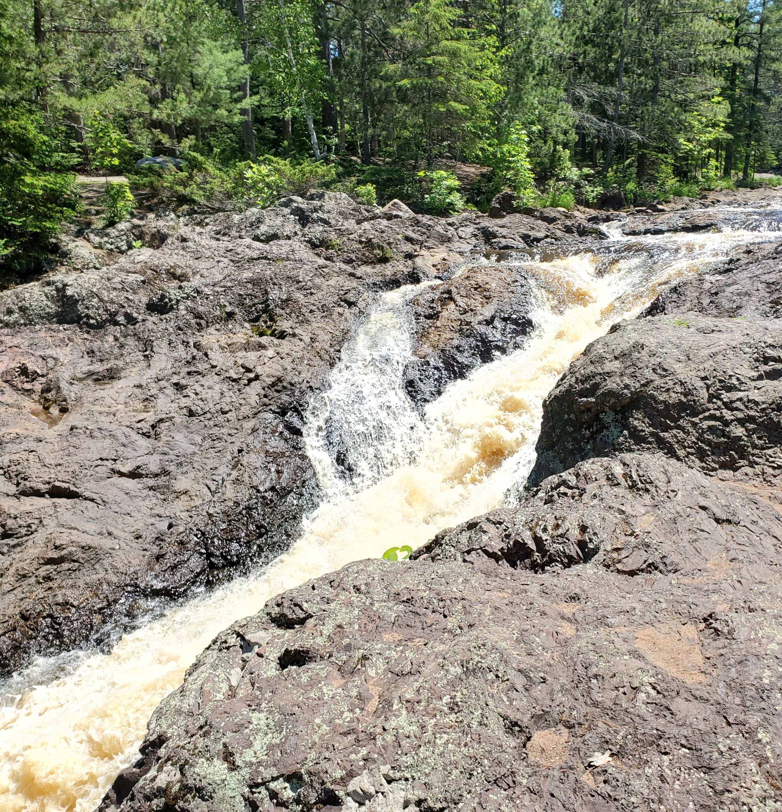 20210604_130643.jpg