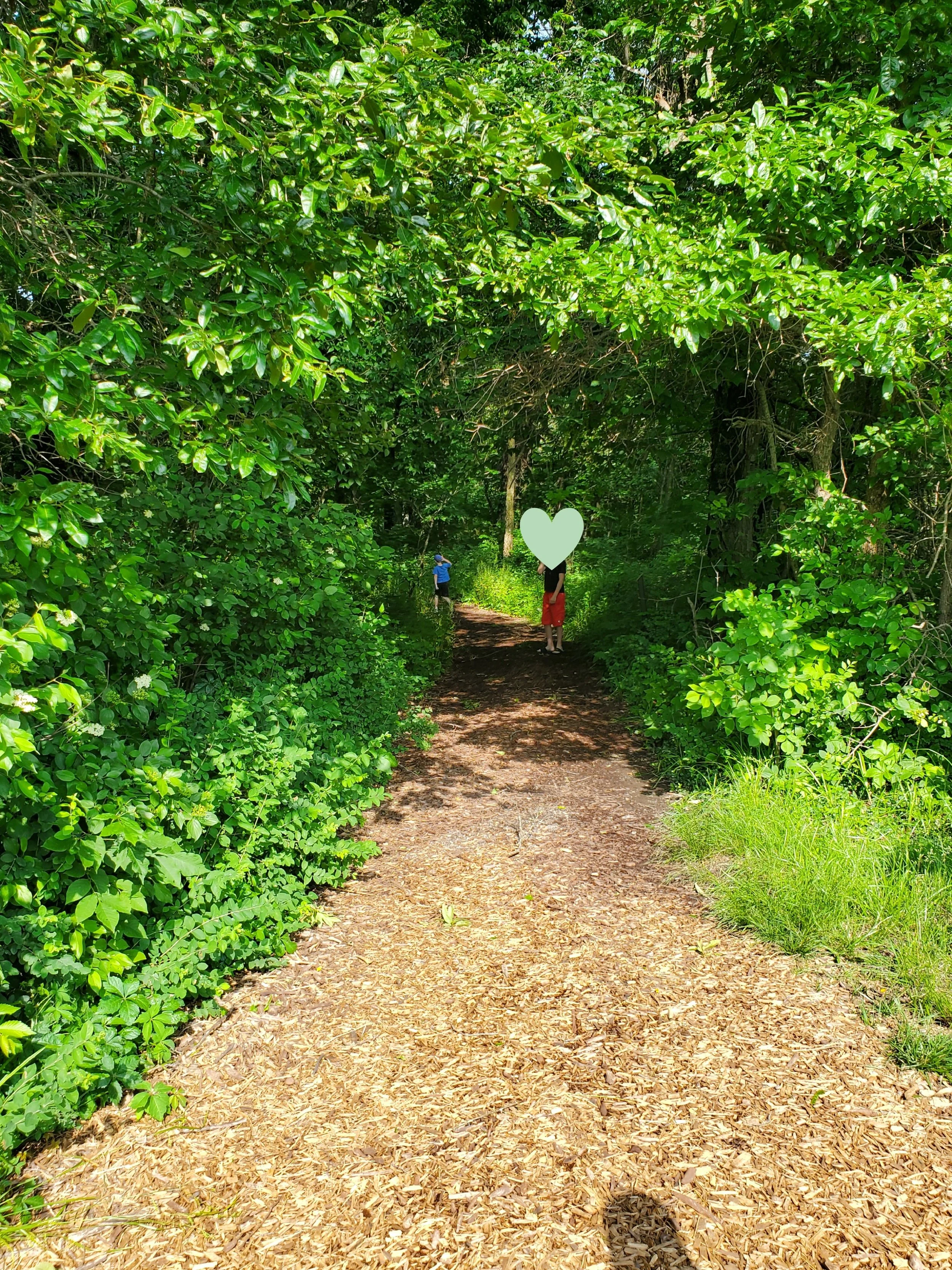 20240526_092731.jpg