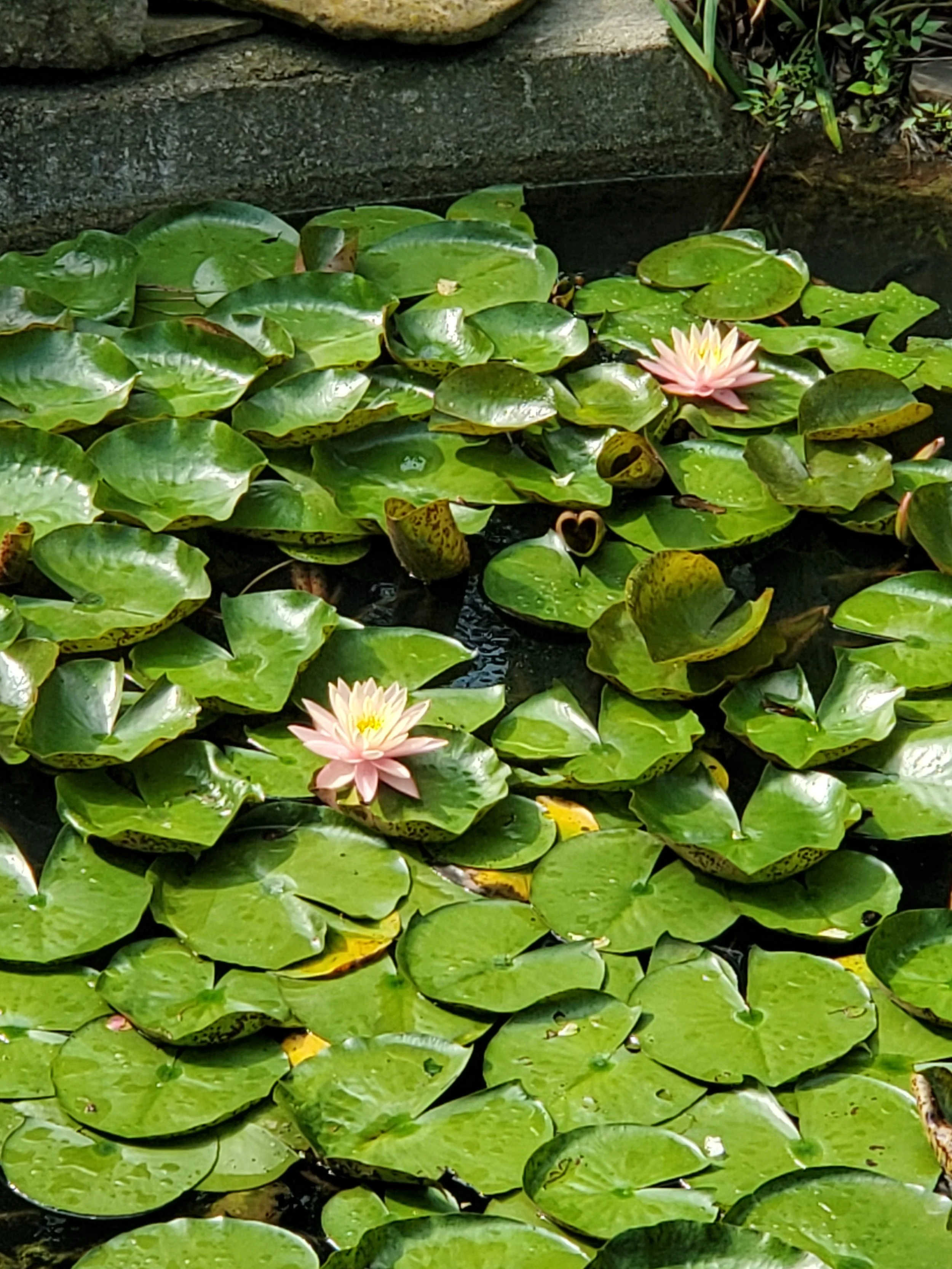 20240526_095020.jpg