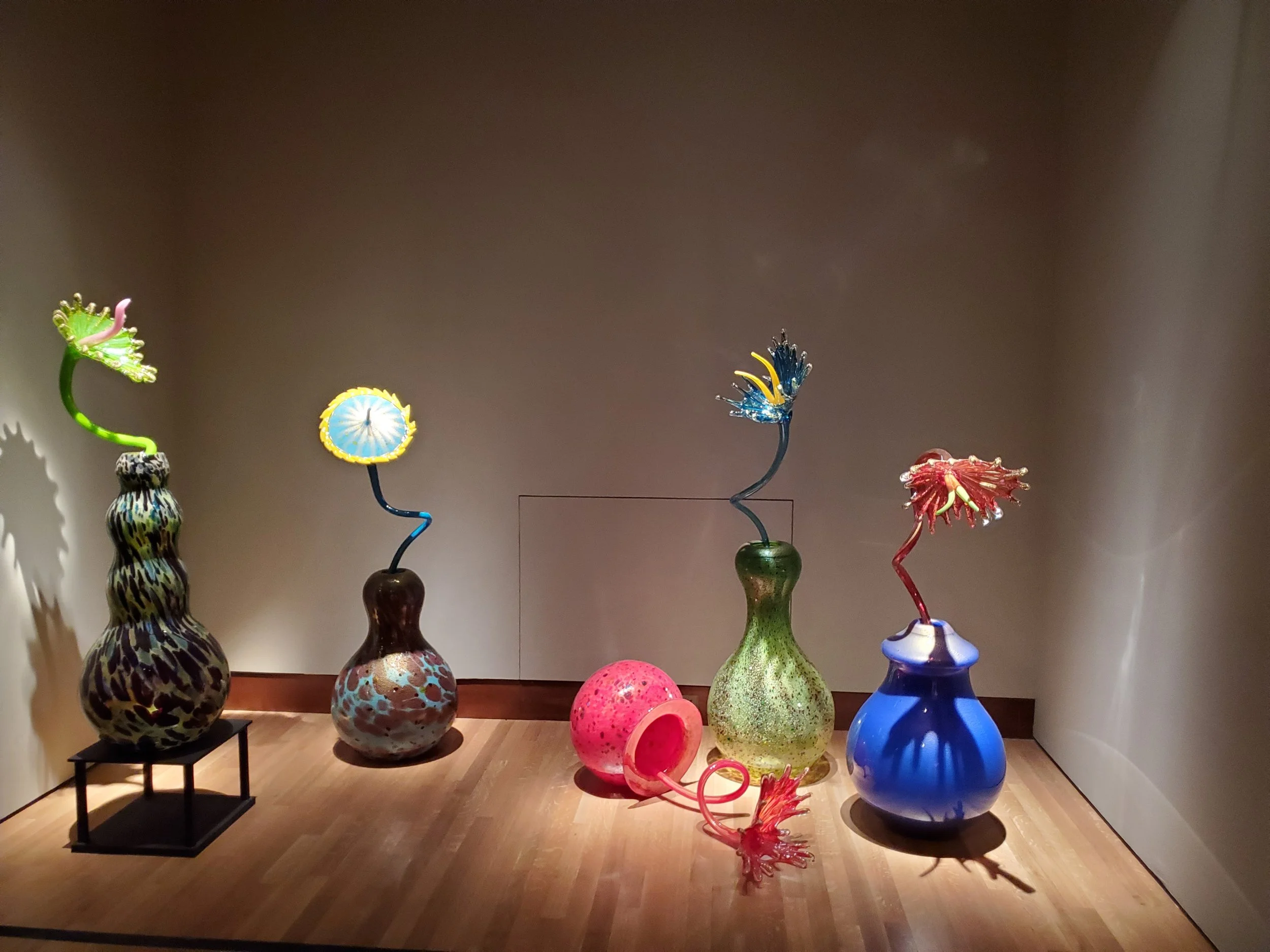 20240608_104711.jpg