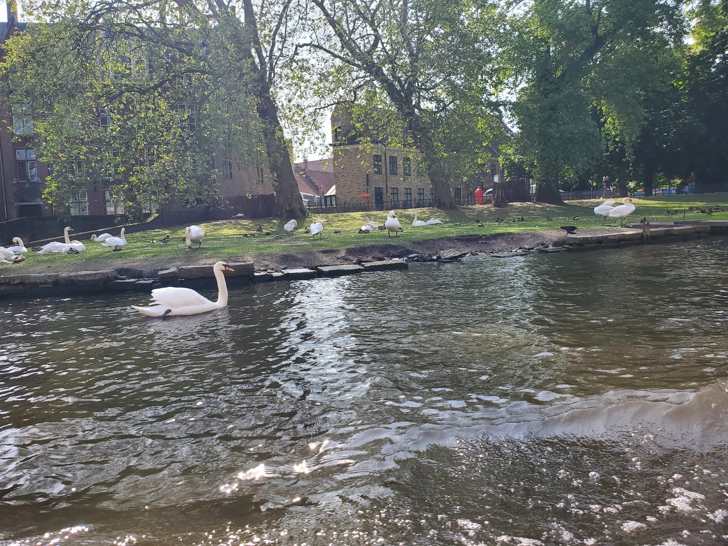 20230529_103700.jpg