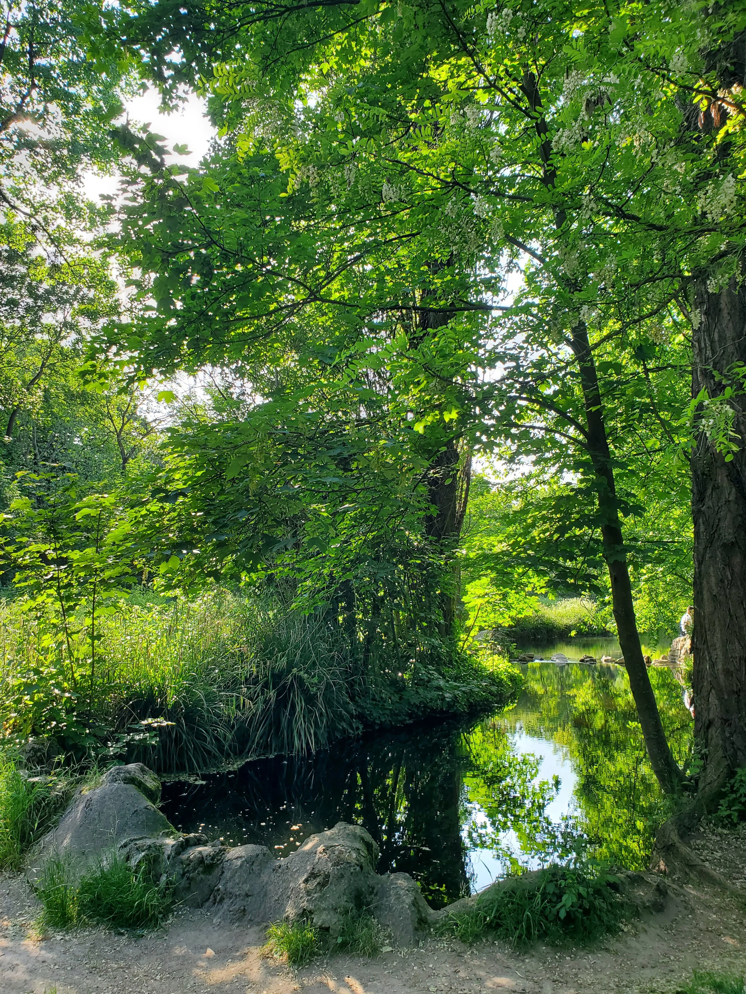 20230526_182055.jpg