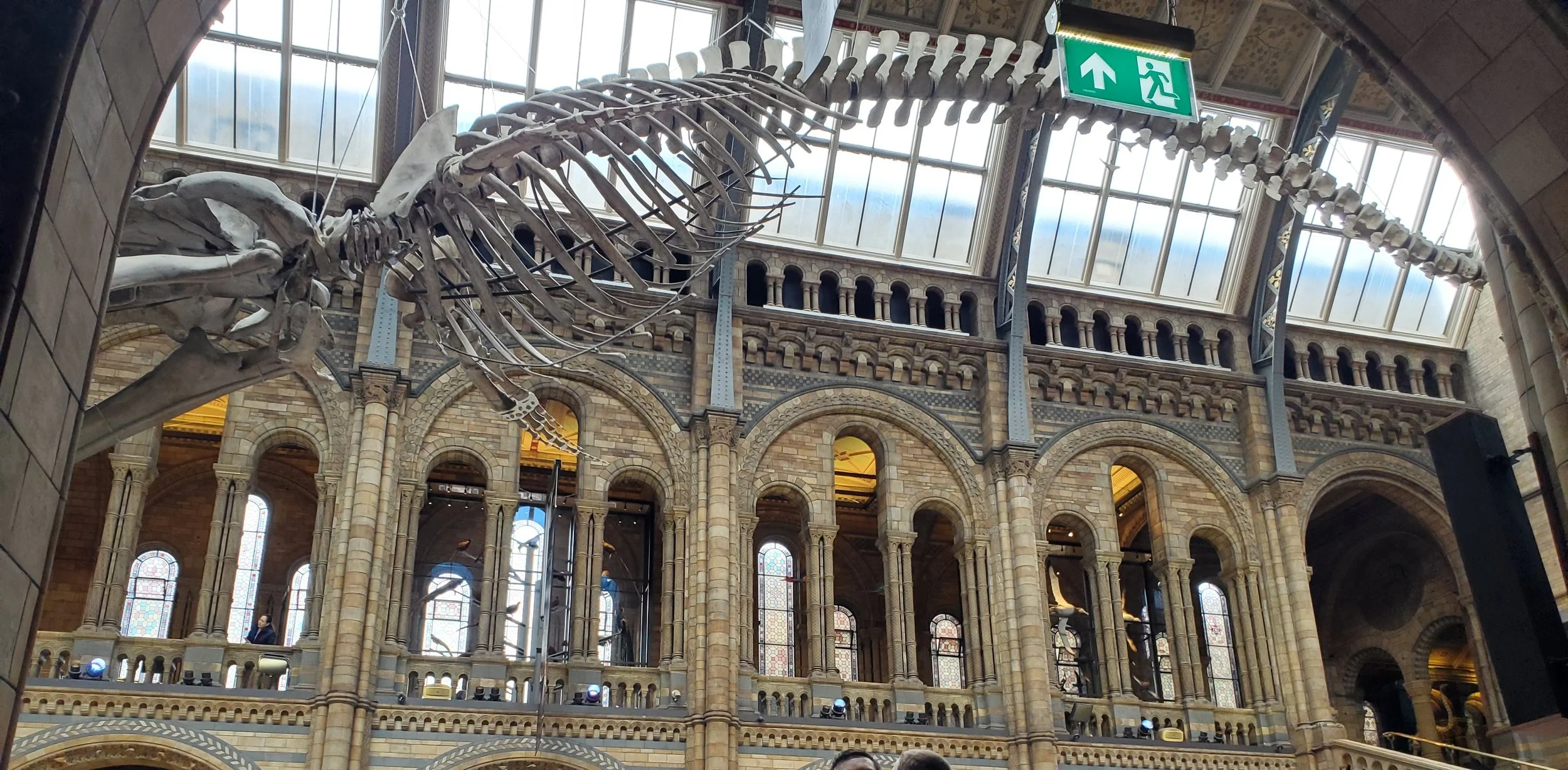 20230523_102455.jpg