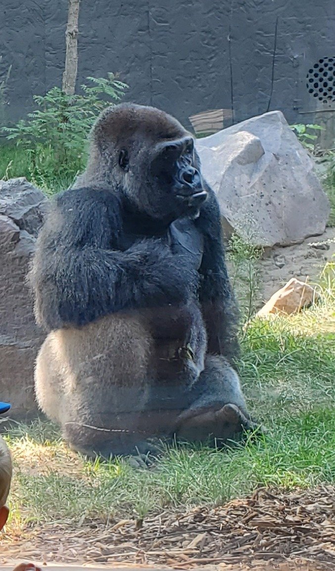 20220802_105837.jpg