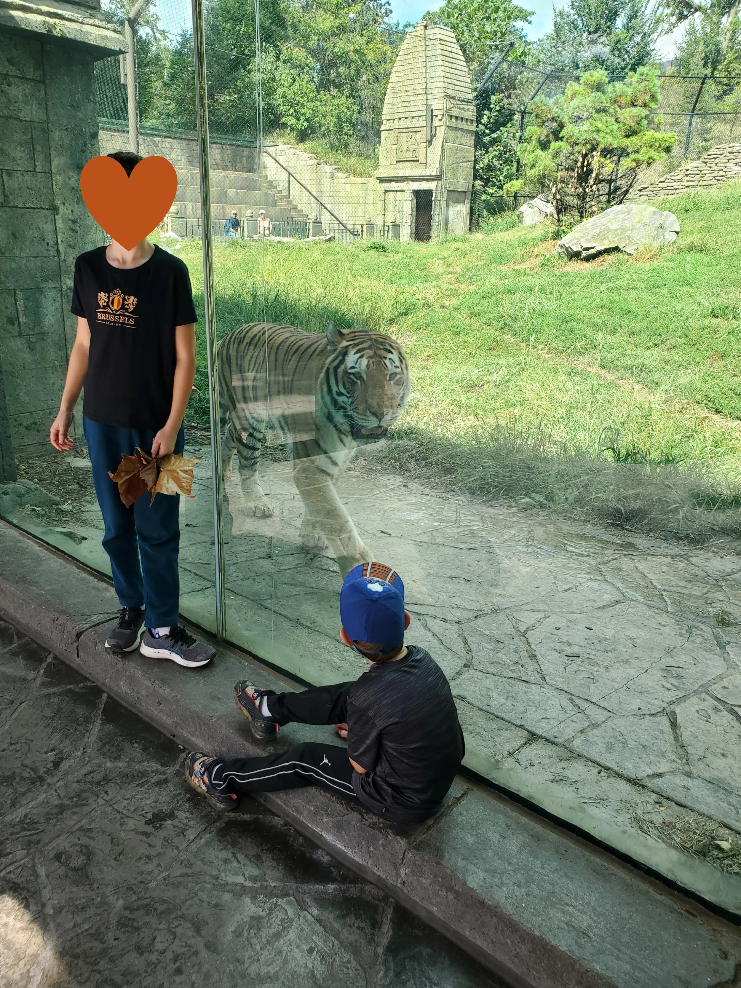 20230925_125054.jpg