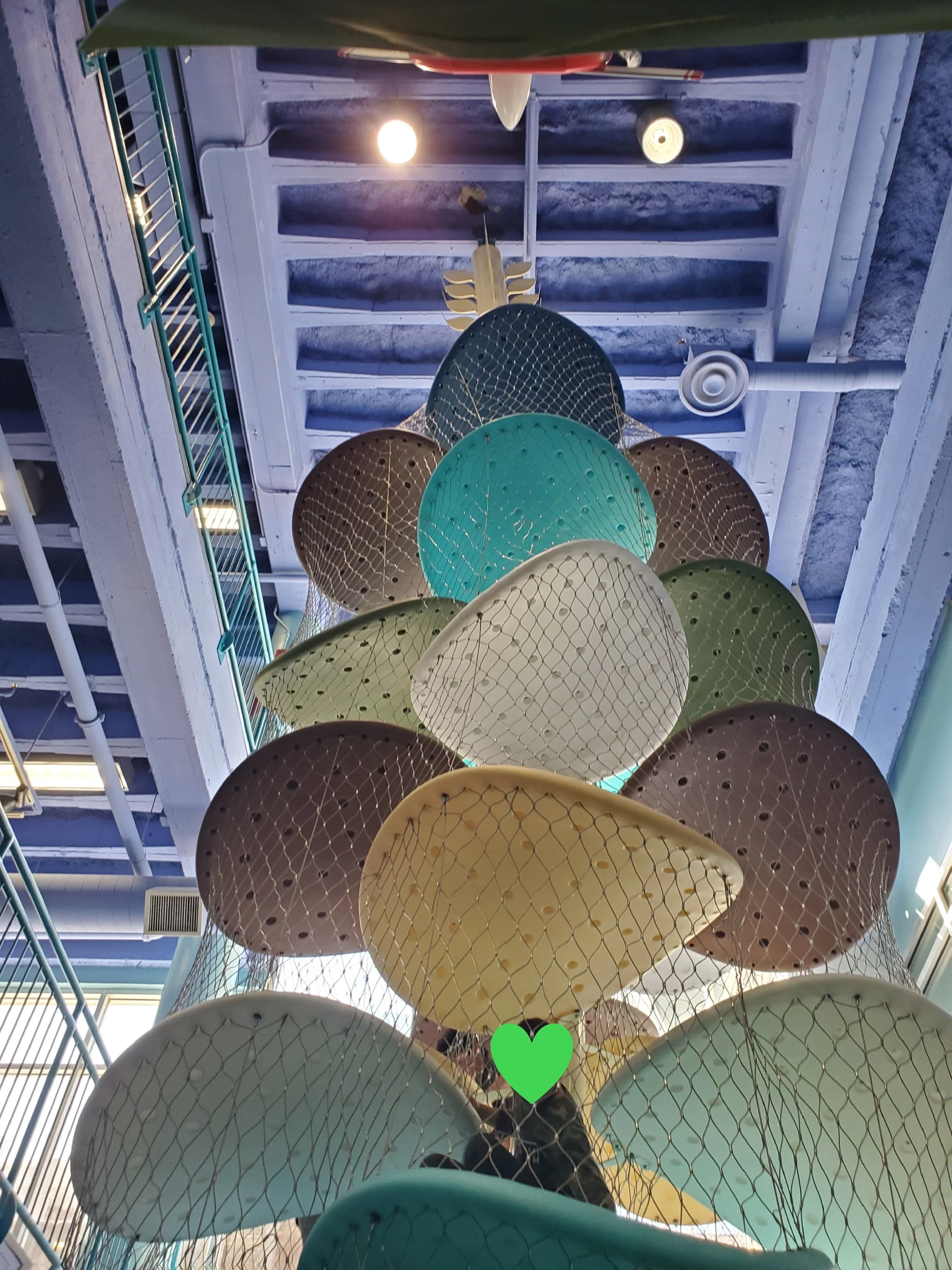 20250416_110840.jpg