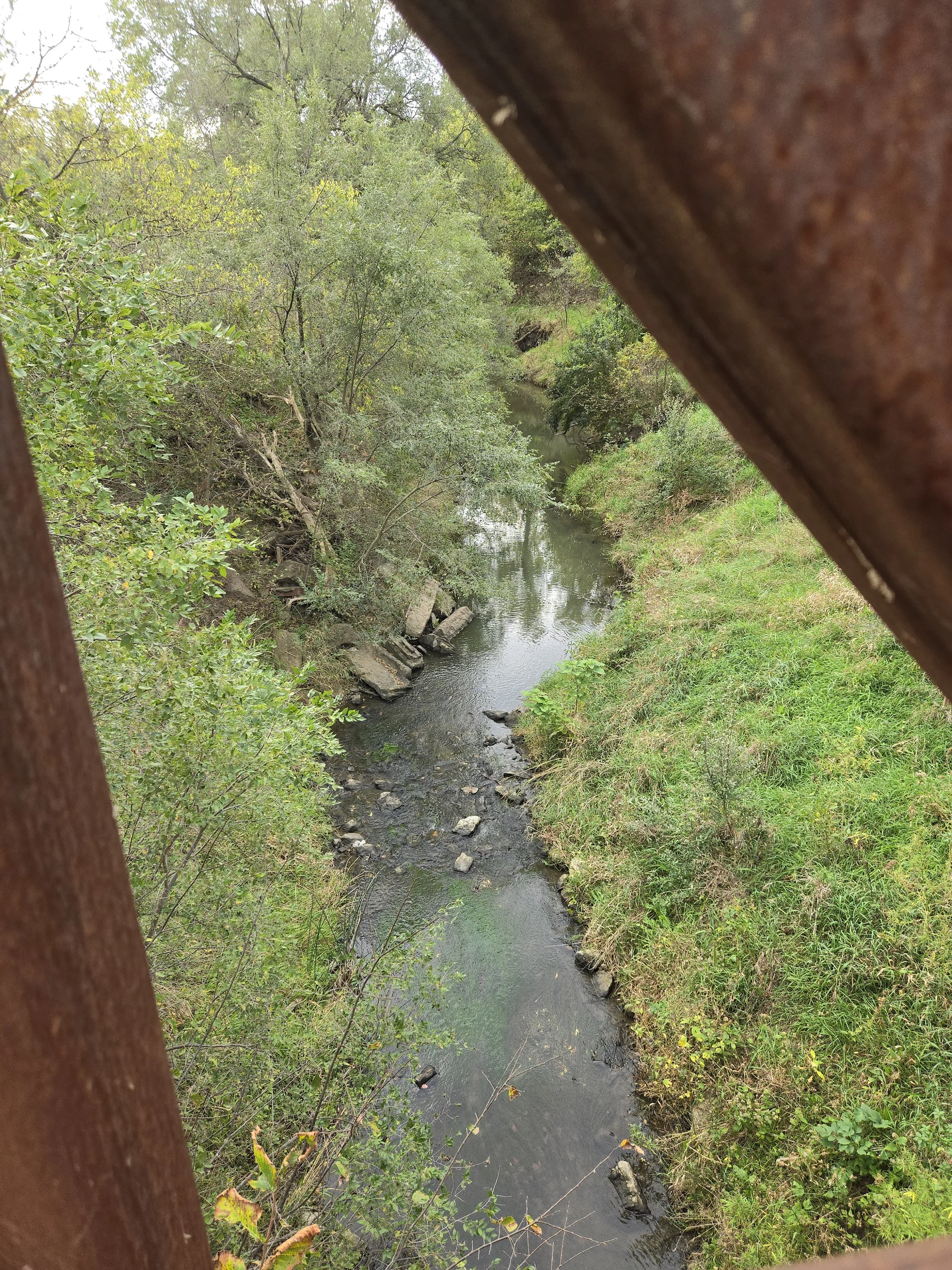 20251005_092750.jpg