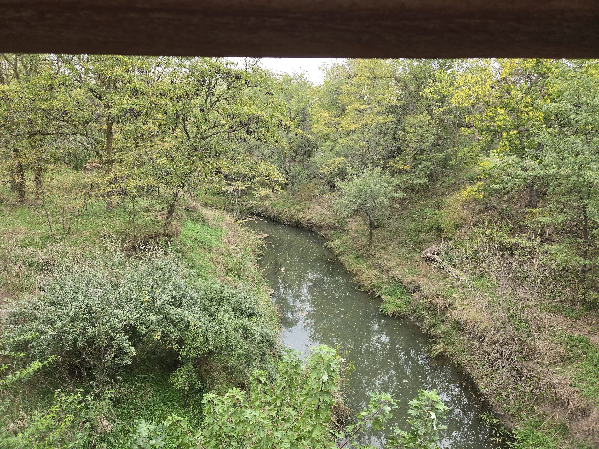 20251005_100656.jpg