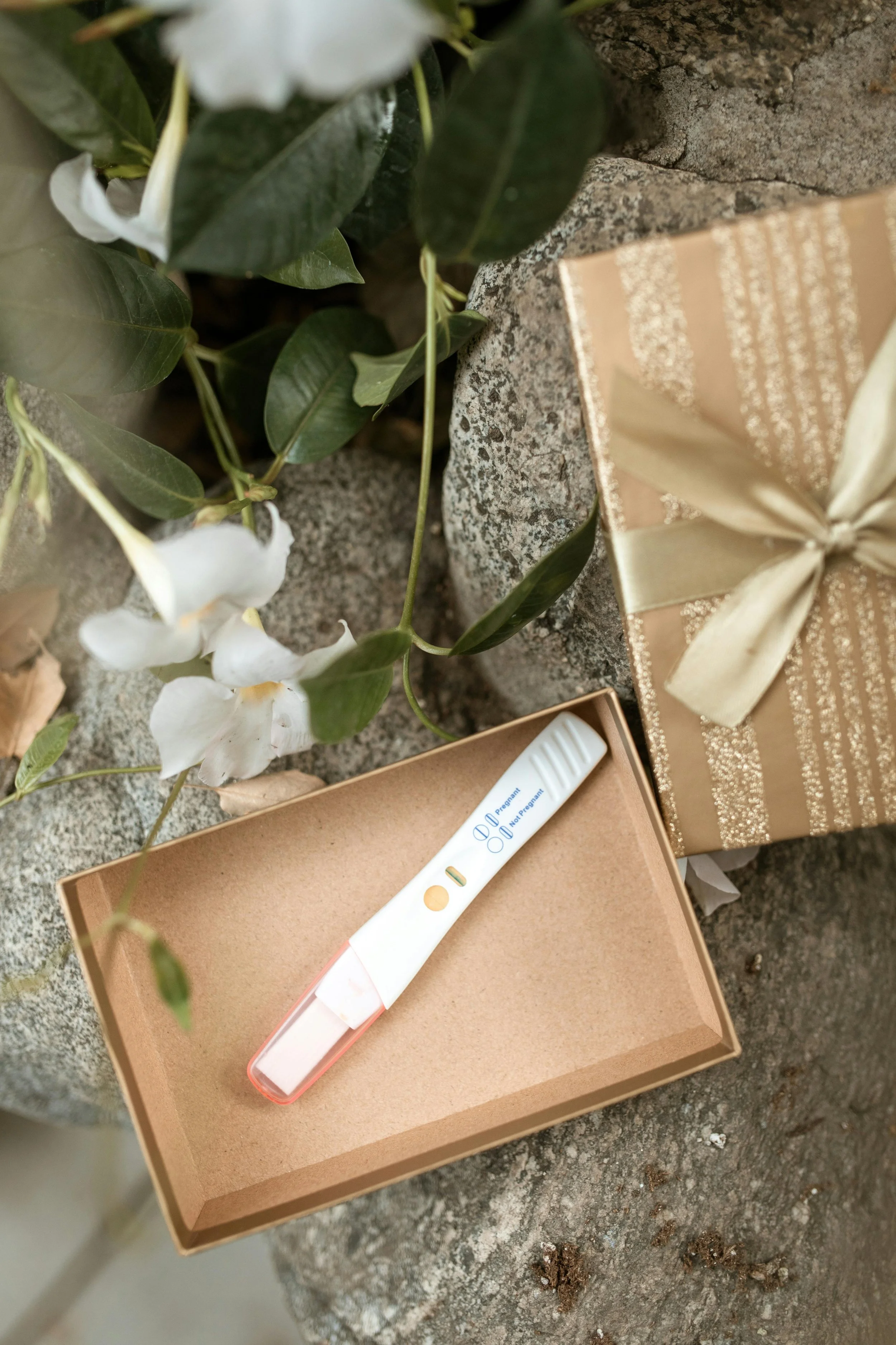 Positive pregnancy test with gift box — fertility journey and early pregnancy emotions.