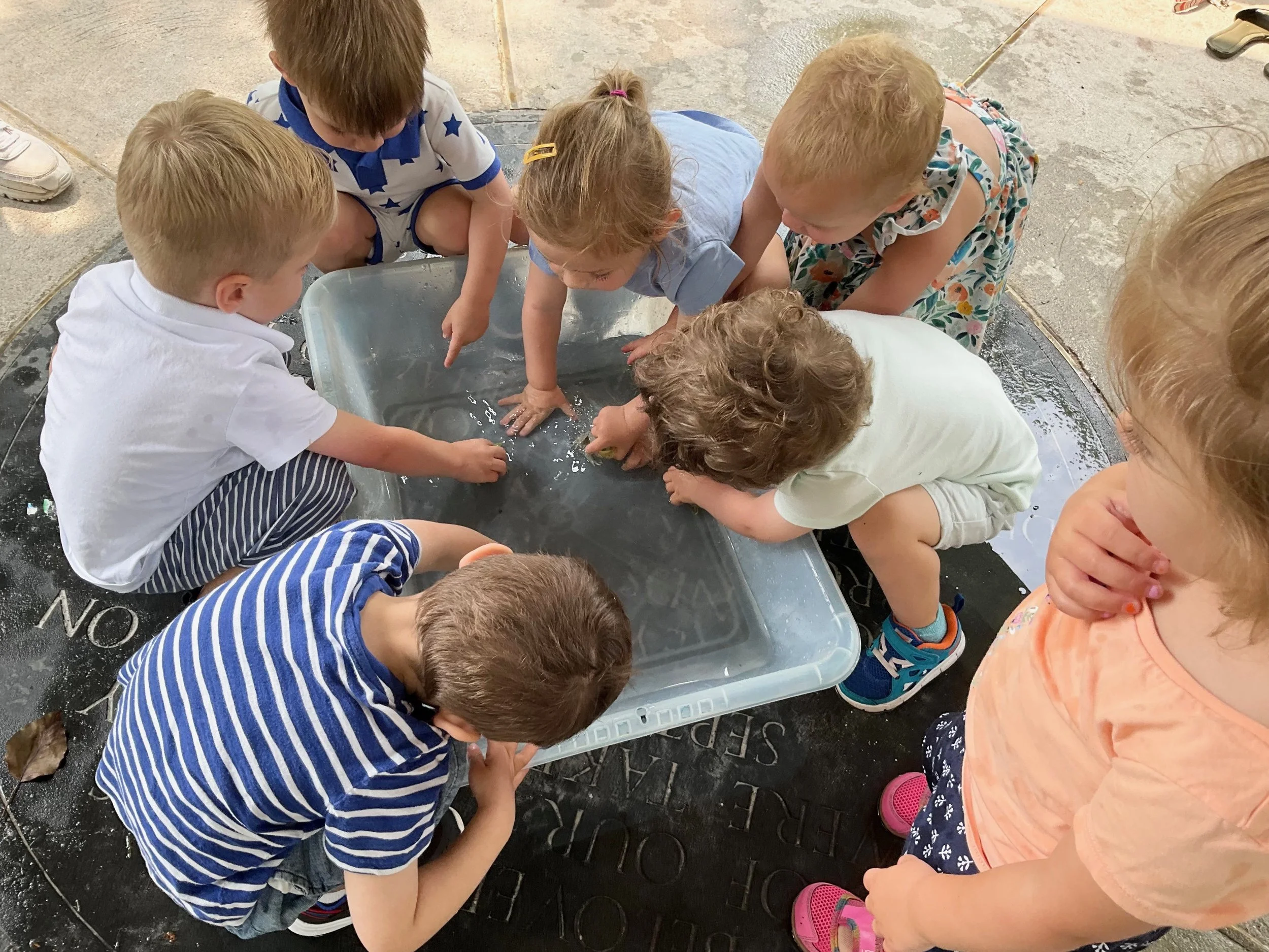 Children gathered around a water table, playing and exploring water.