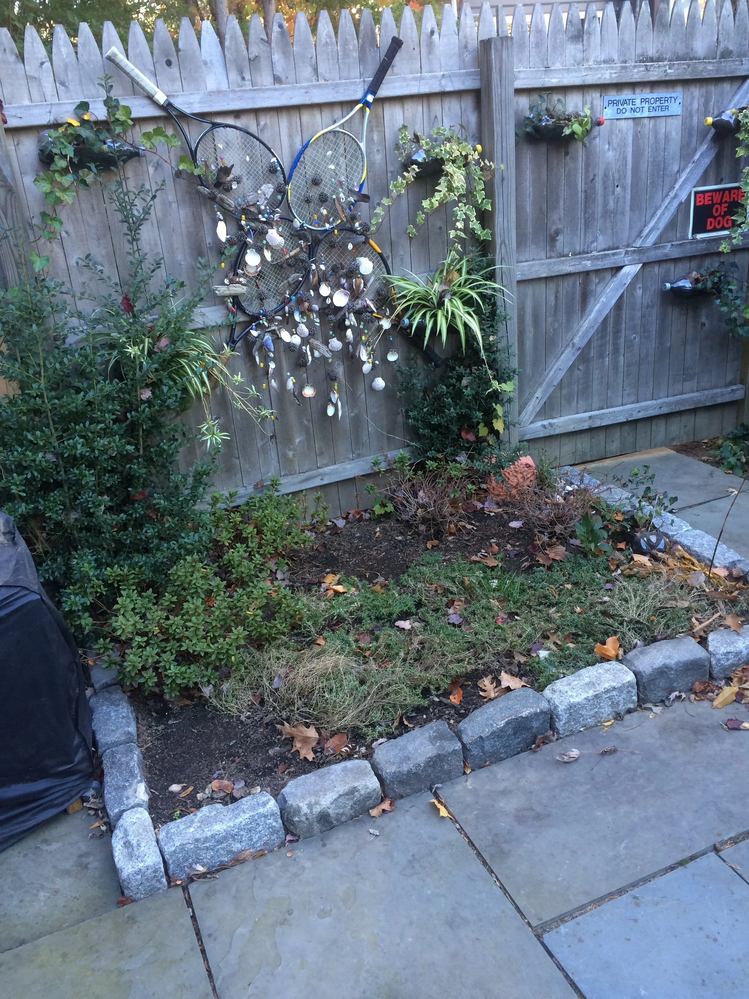 A small garden area with plants and dry leaves, bordered by rocks and a concrete path. A wooden fence with signs, and two tennis rackets hanging on the fence decorated with seashells.