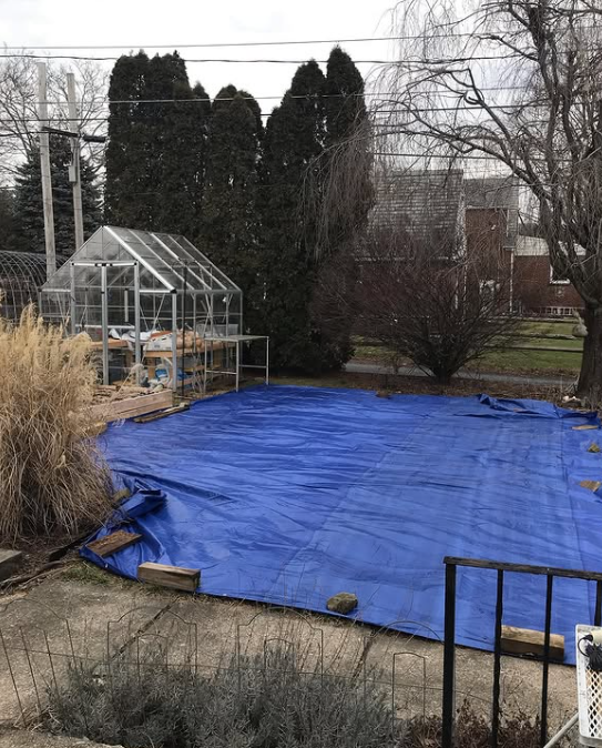 DURING: removing grass the lazy way!